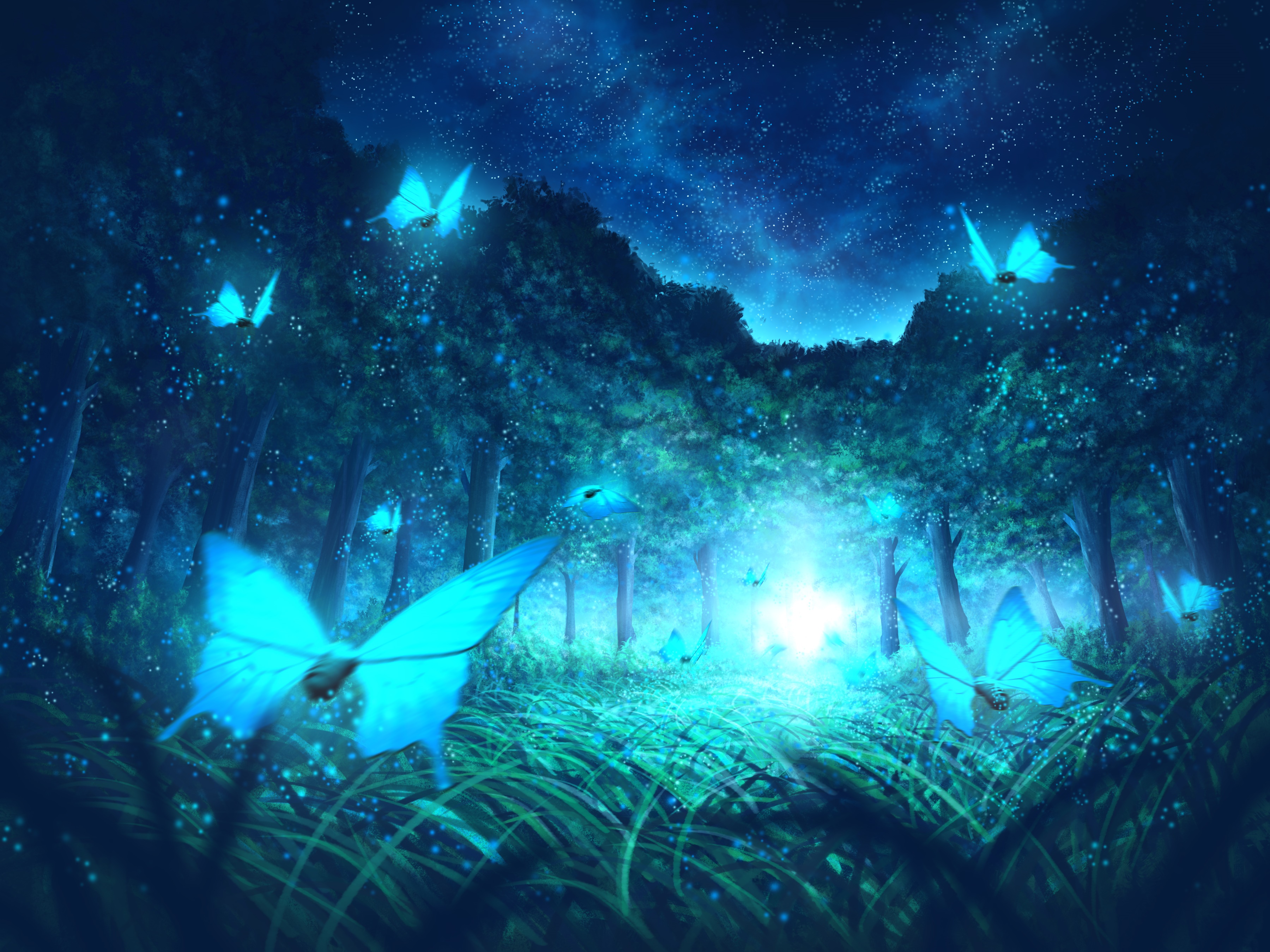 Blue glowing butterflies in a dark forest at night HD Wallpaper