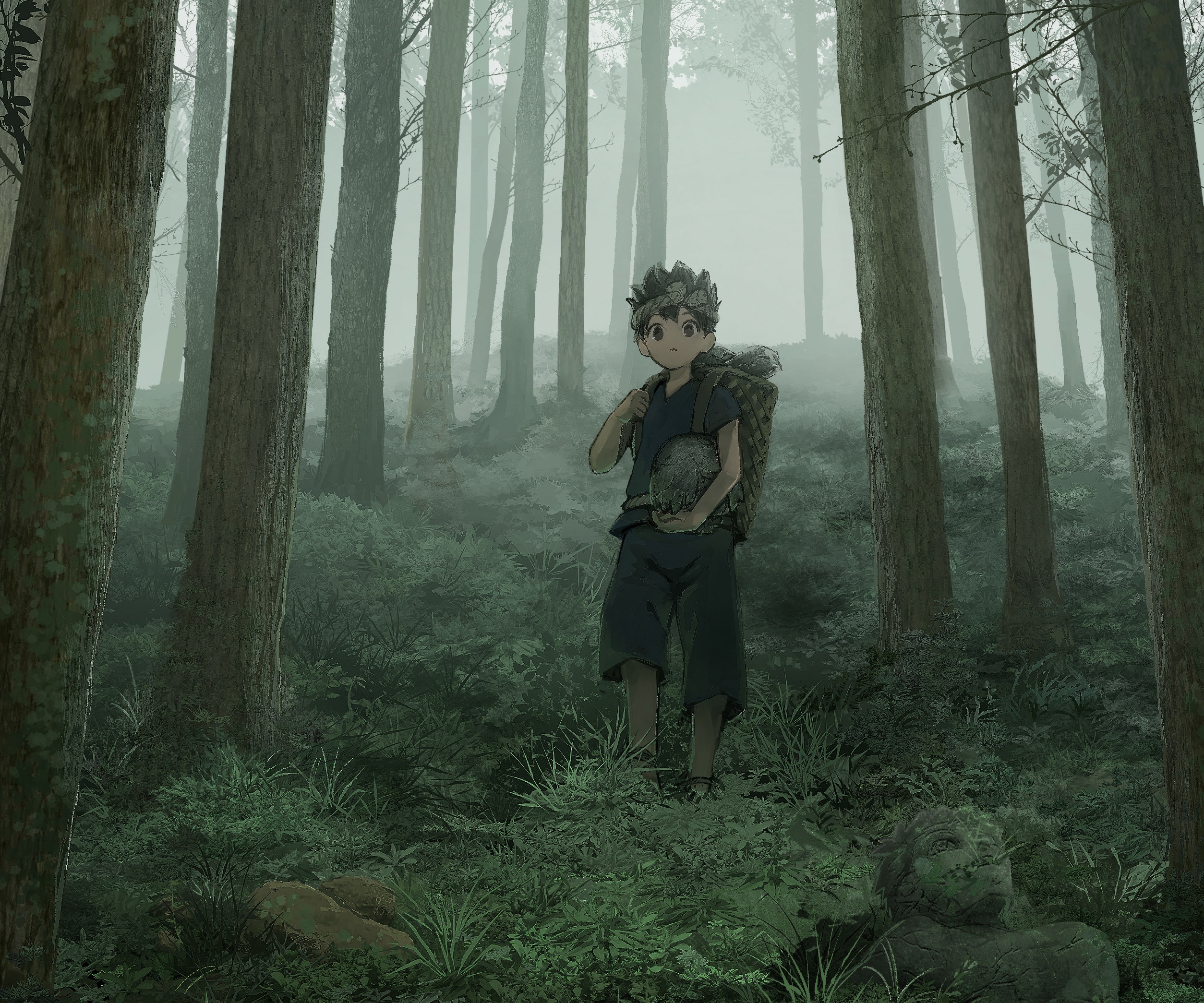 Boy with basket in a foggy forest HD Wallpaper