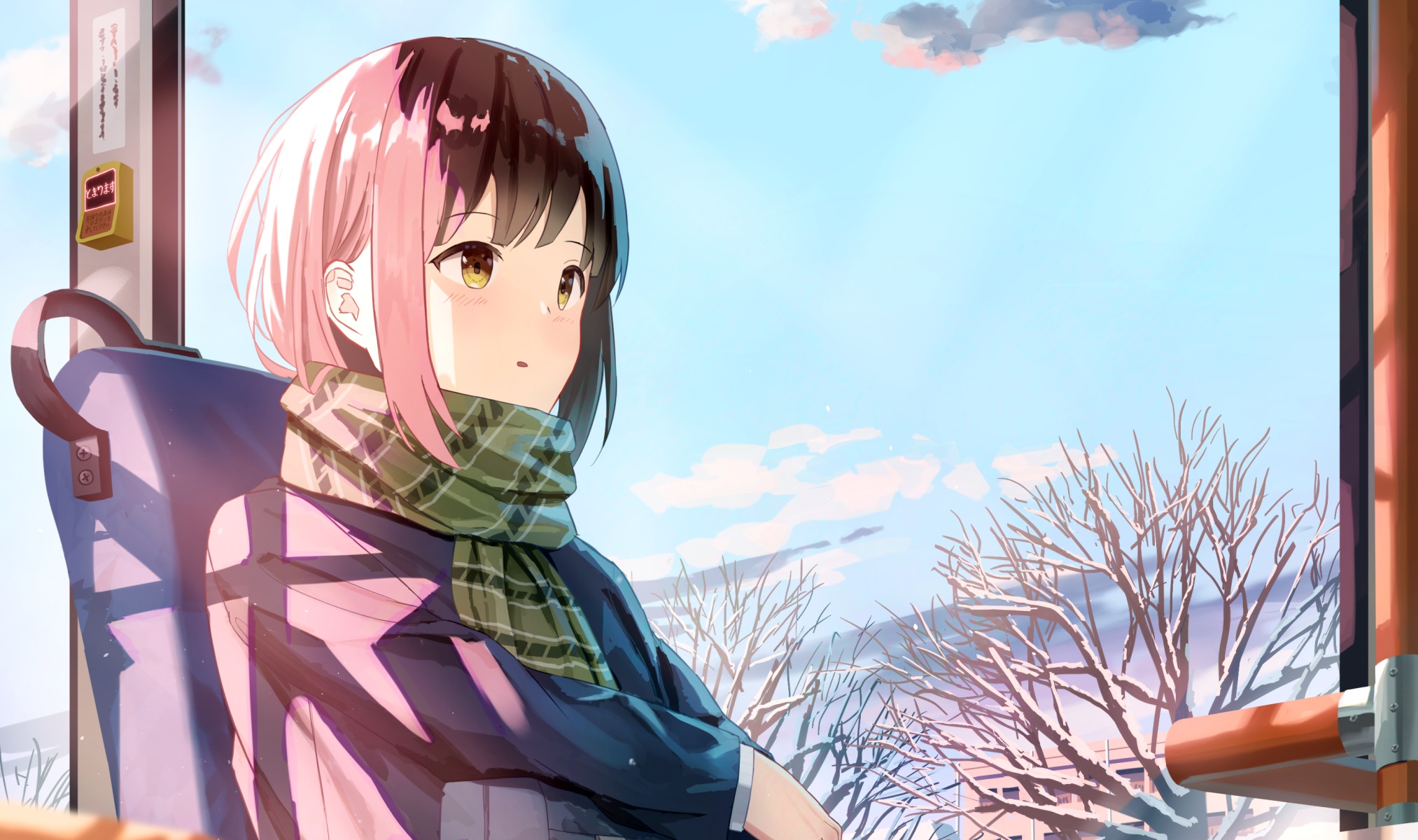 Girl on a bus in winter HD Wallpaper