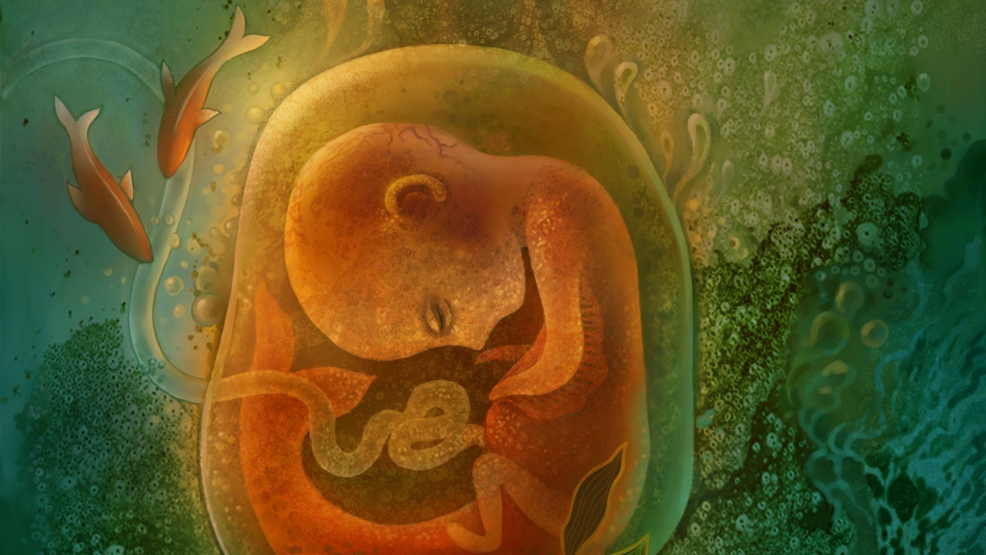 Fetus in amniotic sac with fish HD Wallpaper