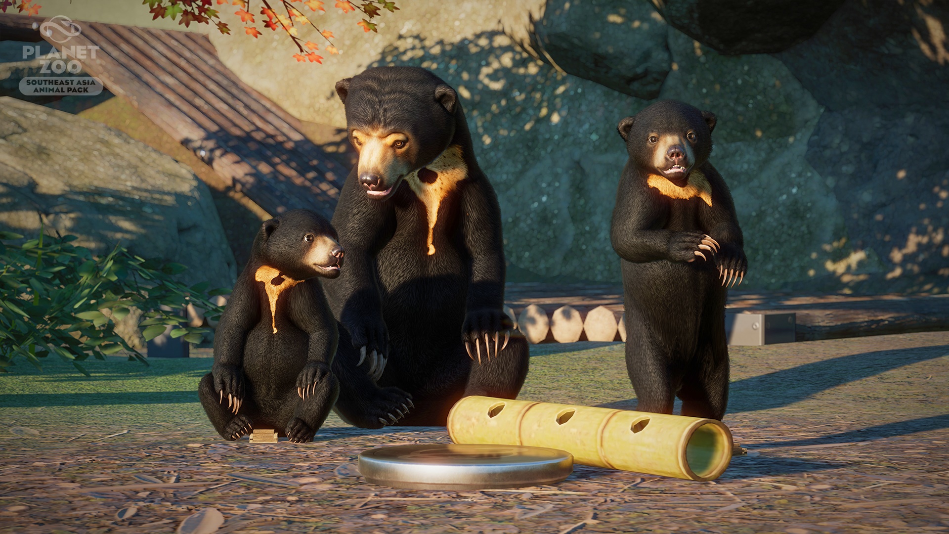 Sun Bears from Planet Zoo Southeast Asia Animal Pack HD Wallpaper