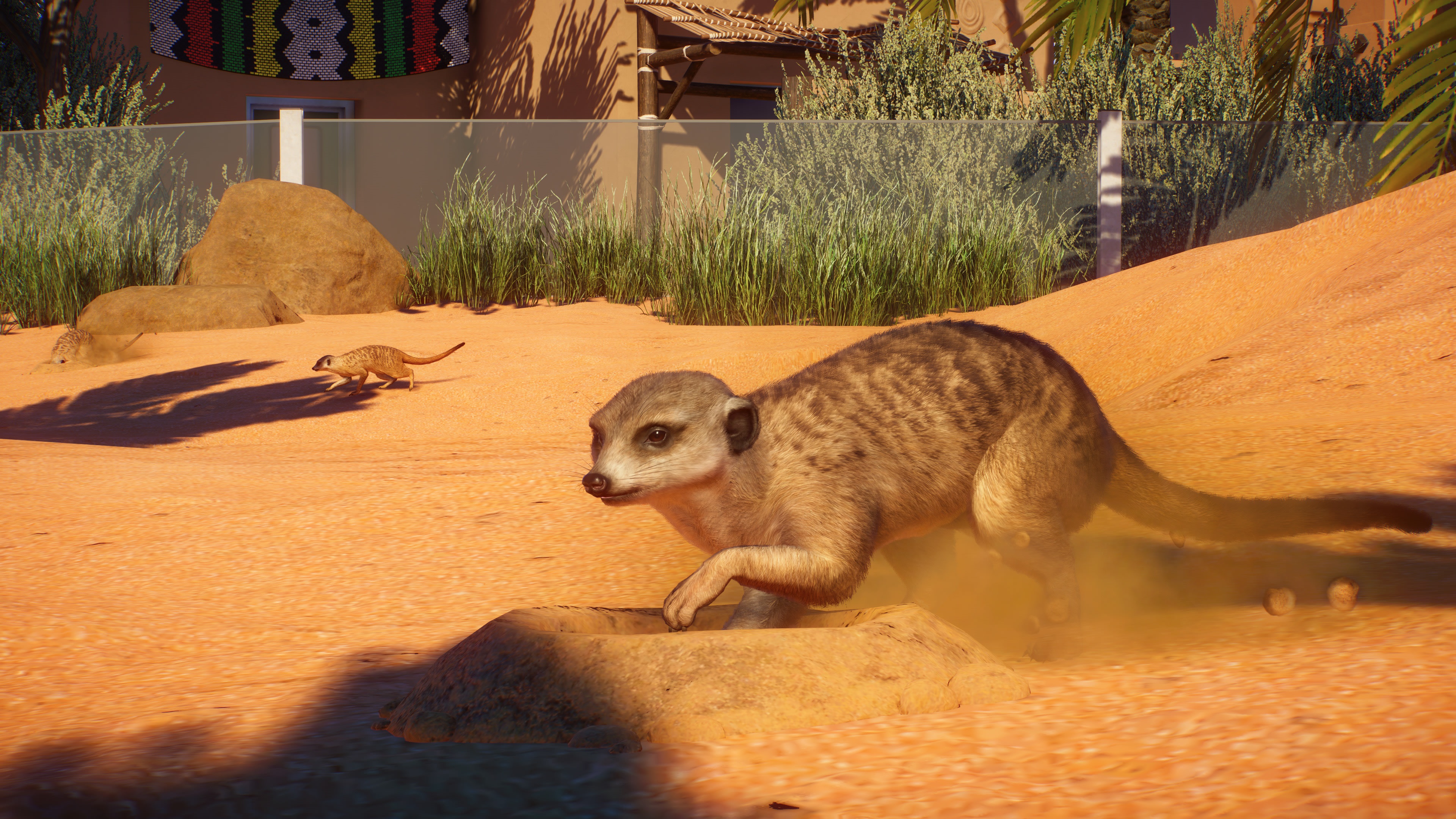 Planet Zoo 4K Meerkat HD Wallpaper