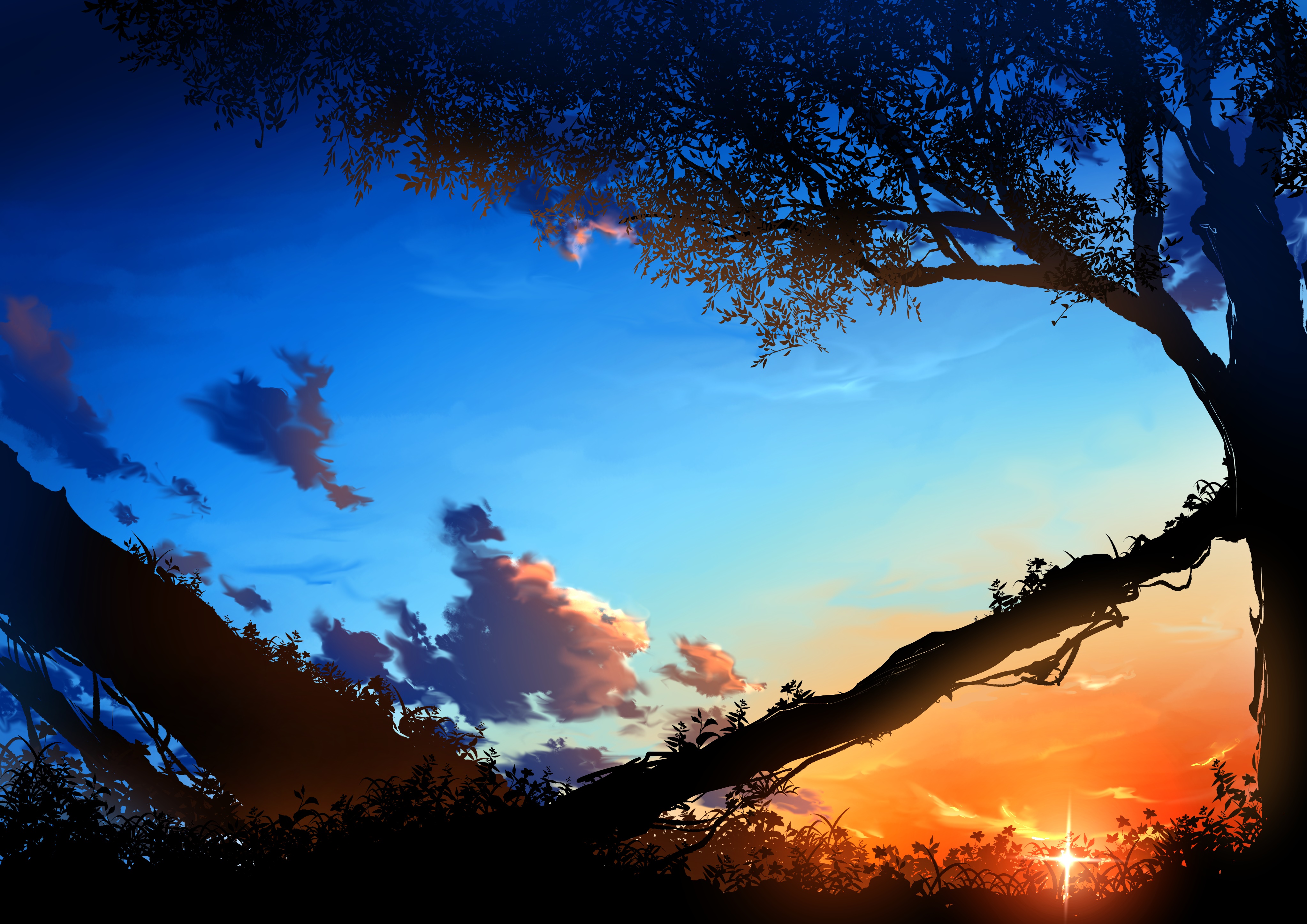 Sunset over a silhouetted forest with trees HD Wallpaper