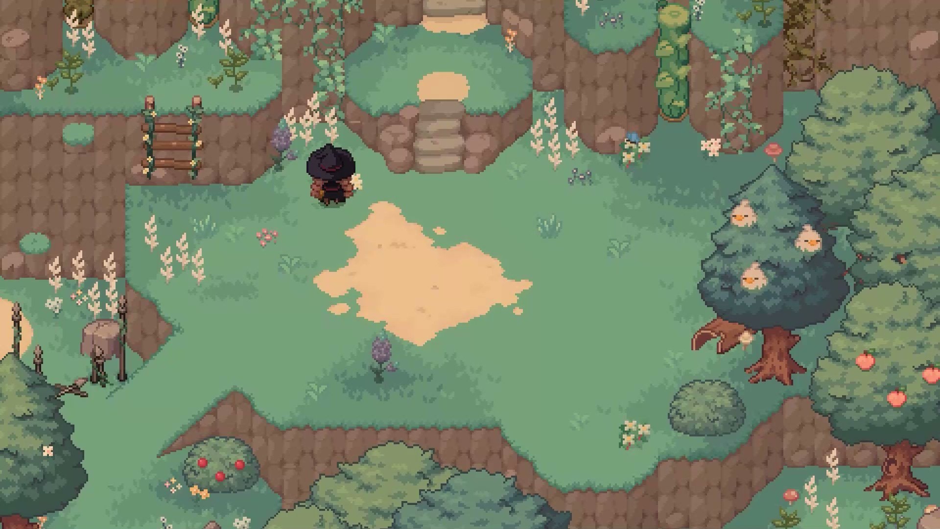 Little Witch In The Woods HD Wallpaper