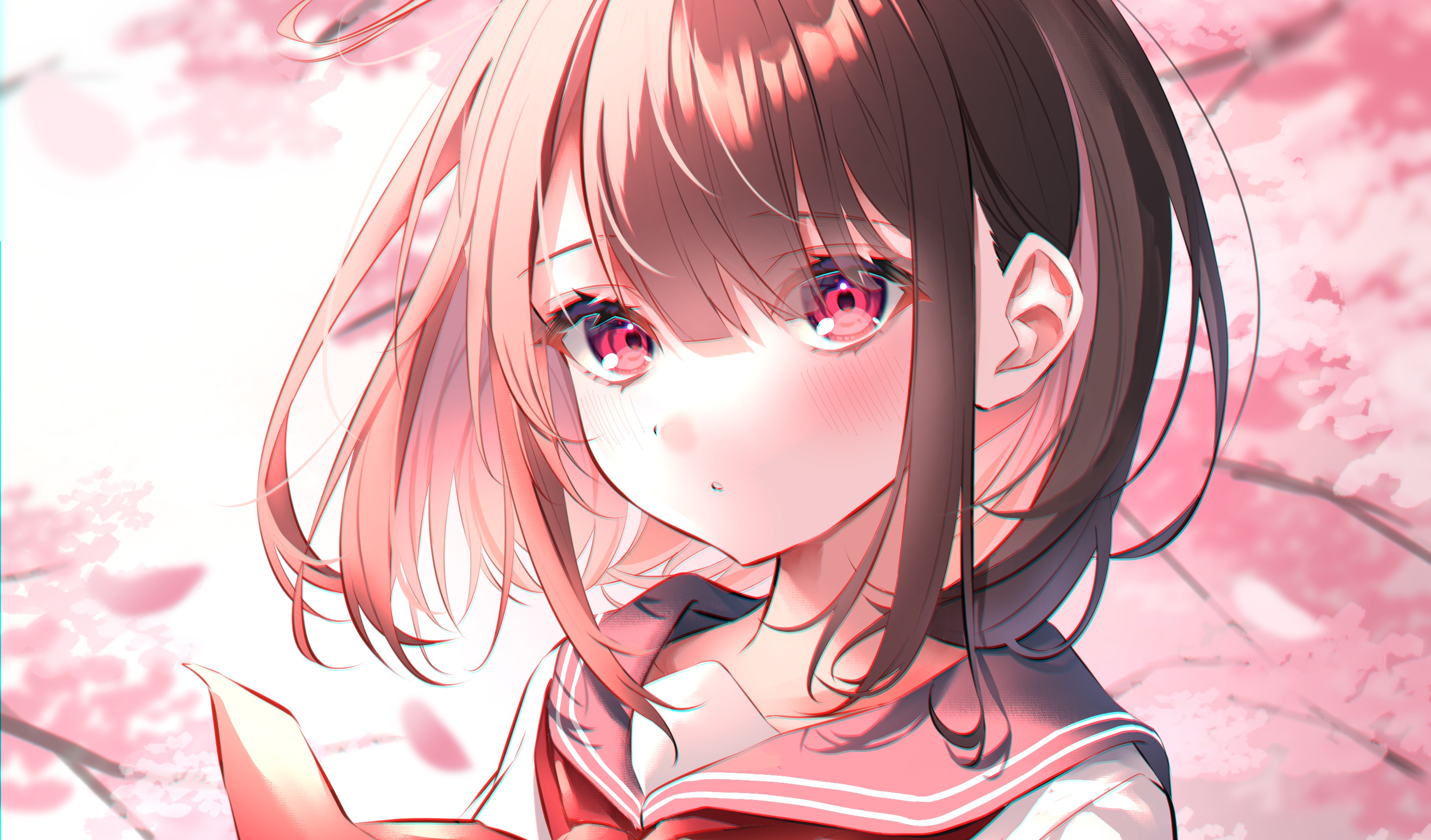 Anime Girl with Pink Cherry Blossoms HD Wallpaper