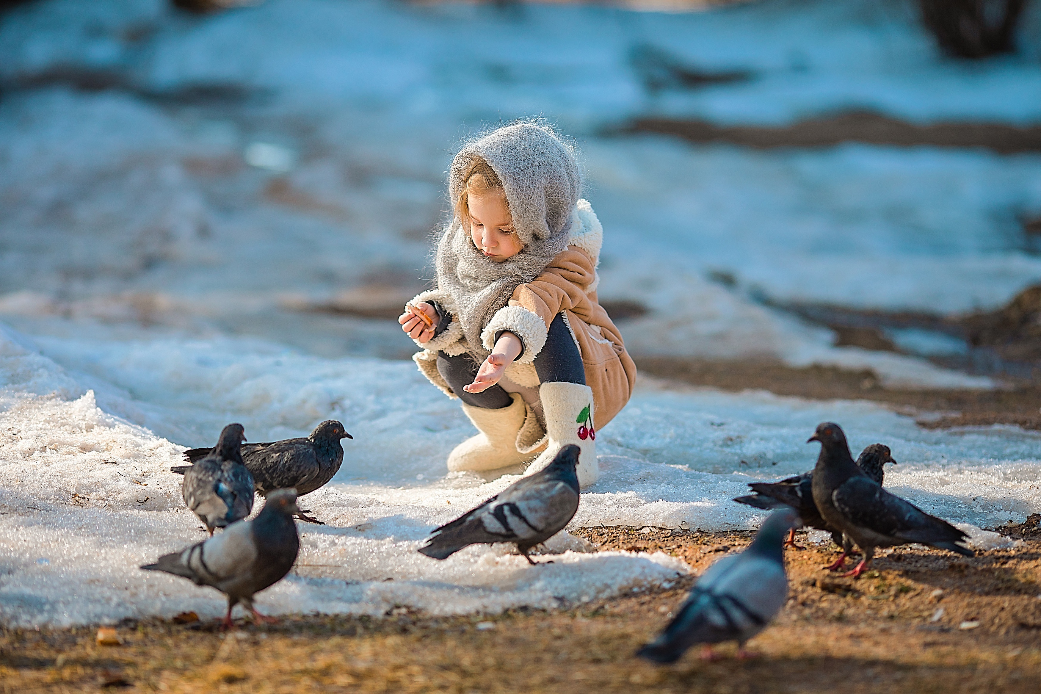 Child feeding pigeons in the snow HD Wallpaper