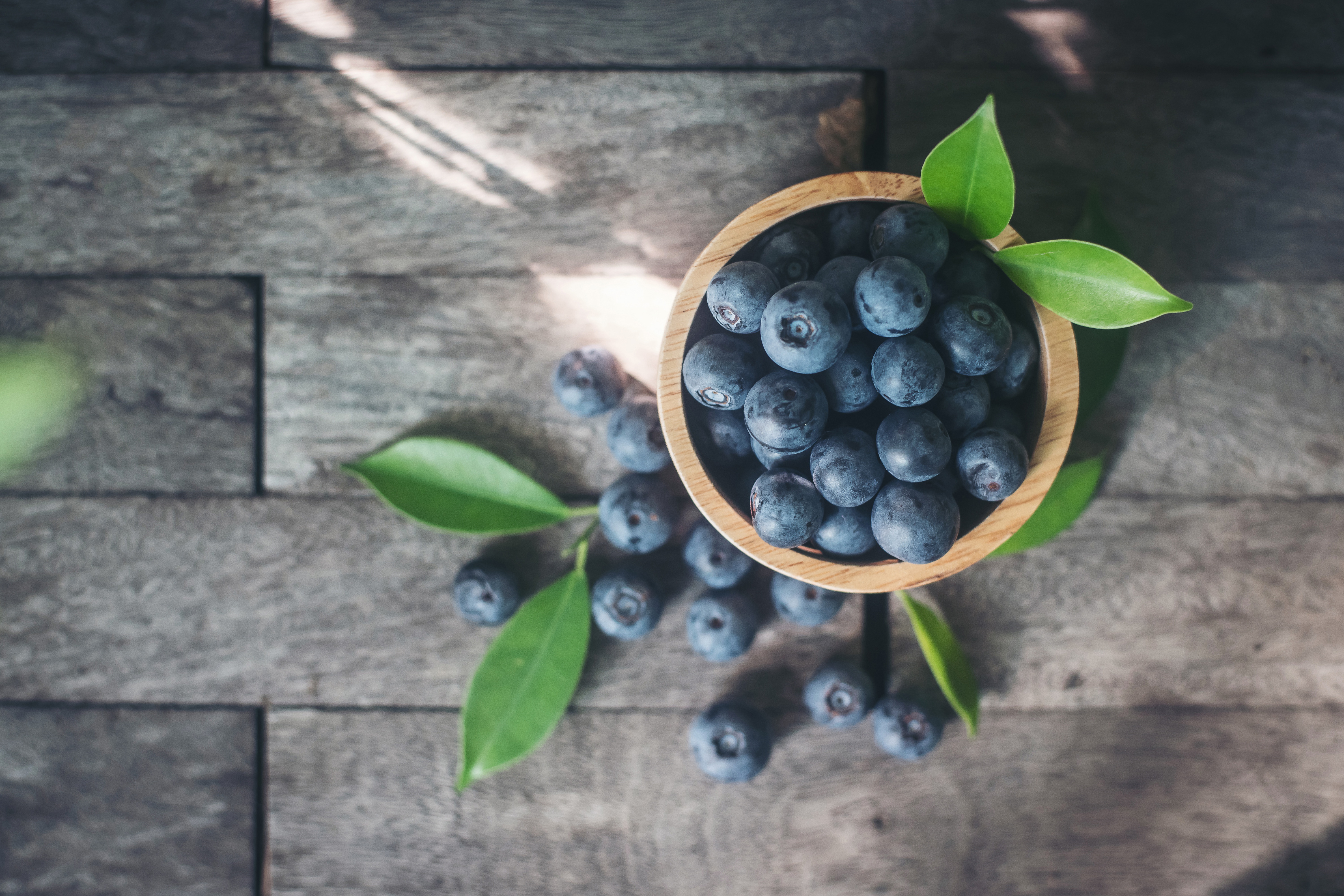 Blueberries in a bowl with leaves HD Wallpaper