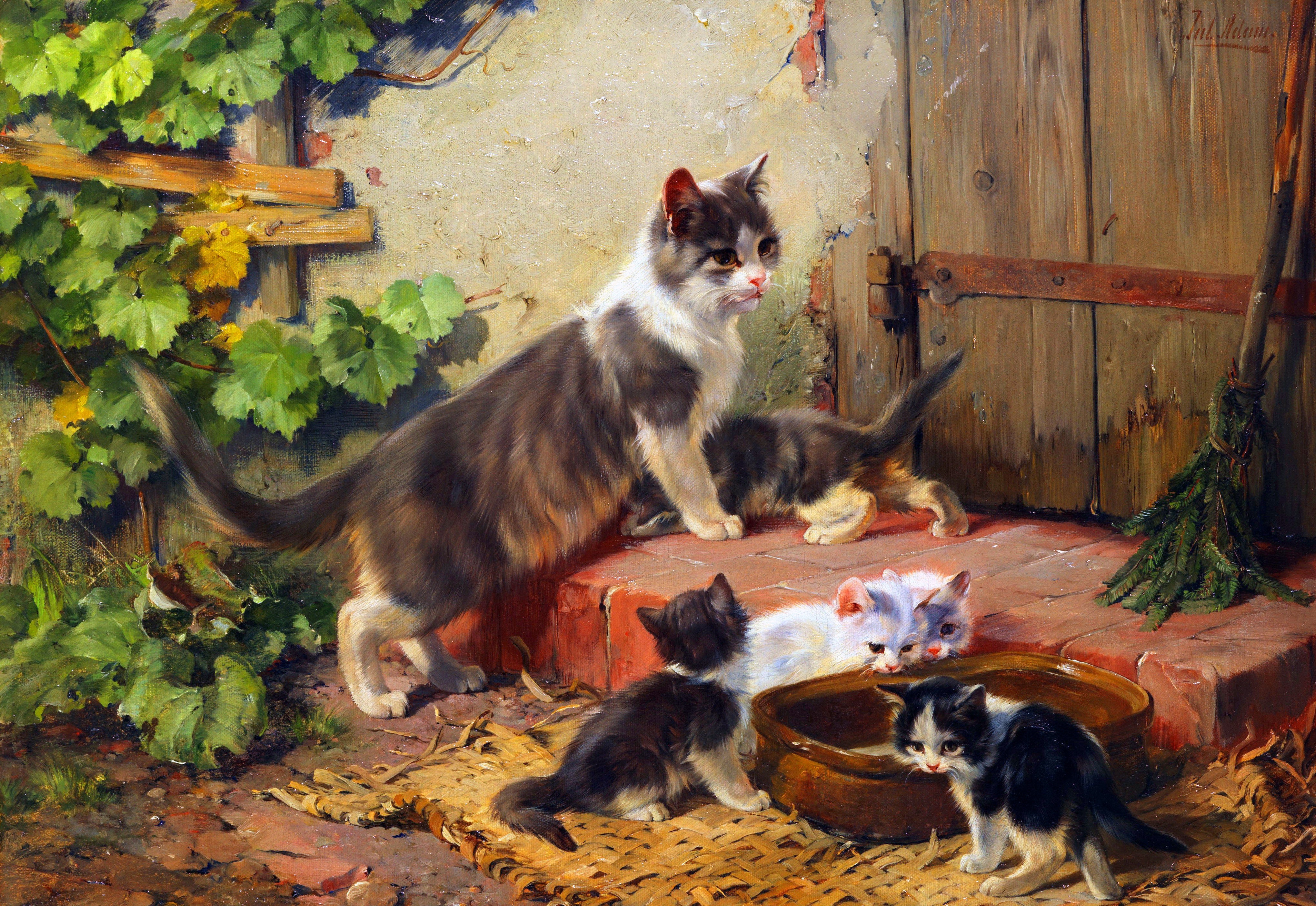 Mother cat and kittens gathered around a bowl HD Wallpaper