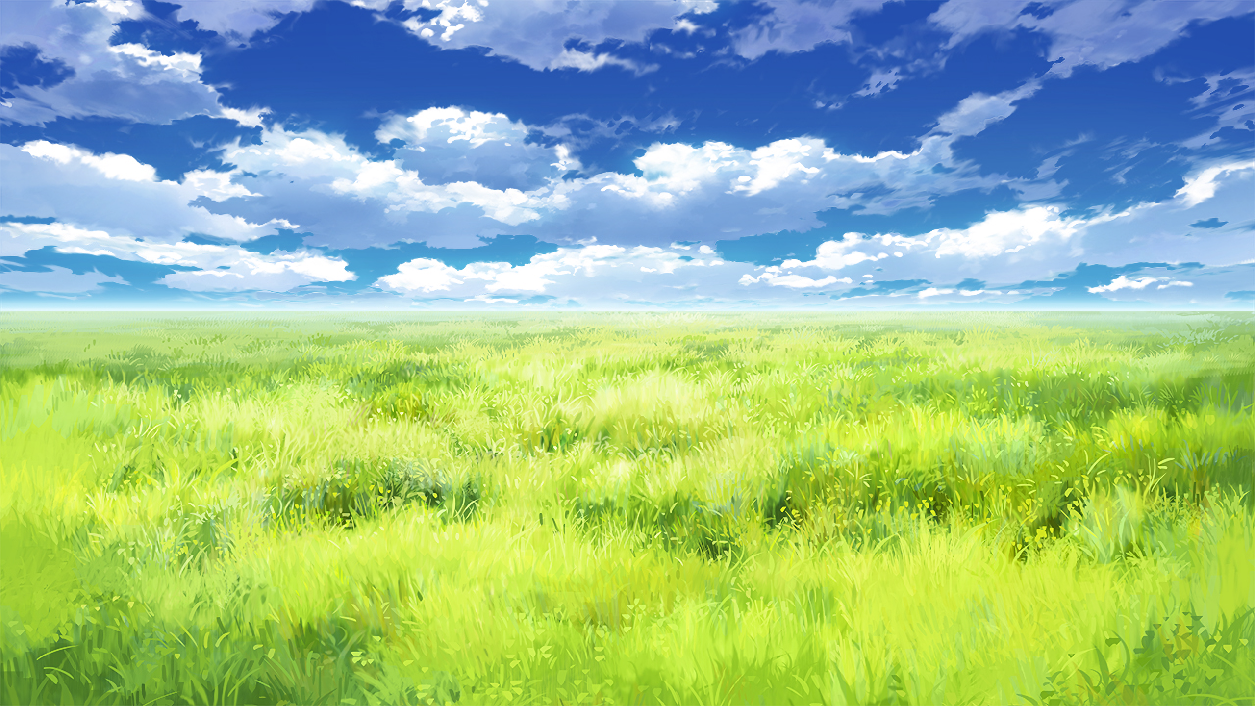 Vast green meadow under a blue sky with clouds HD Wallpaper