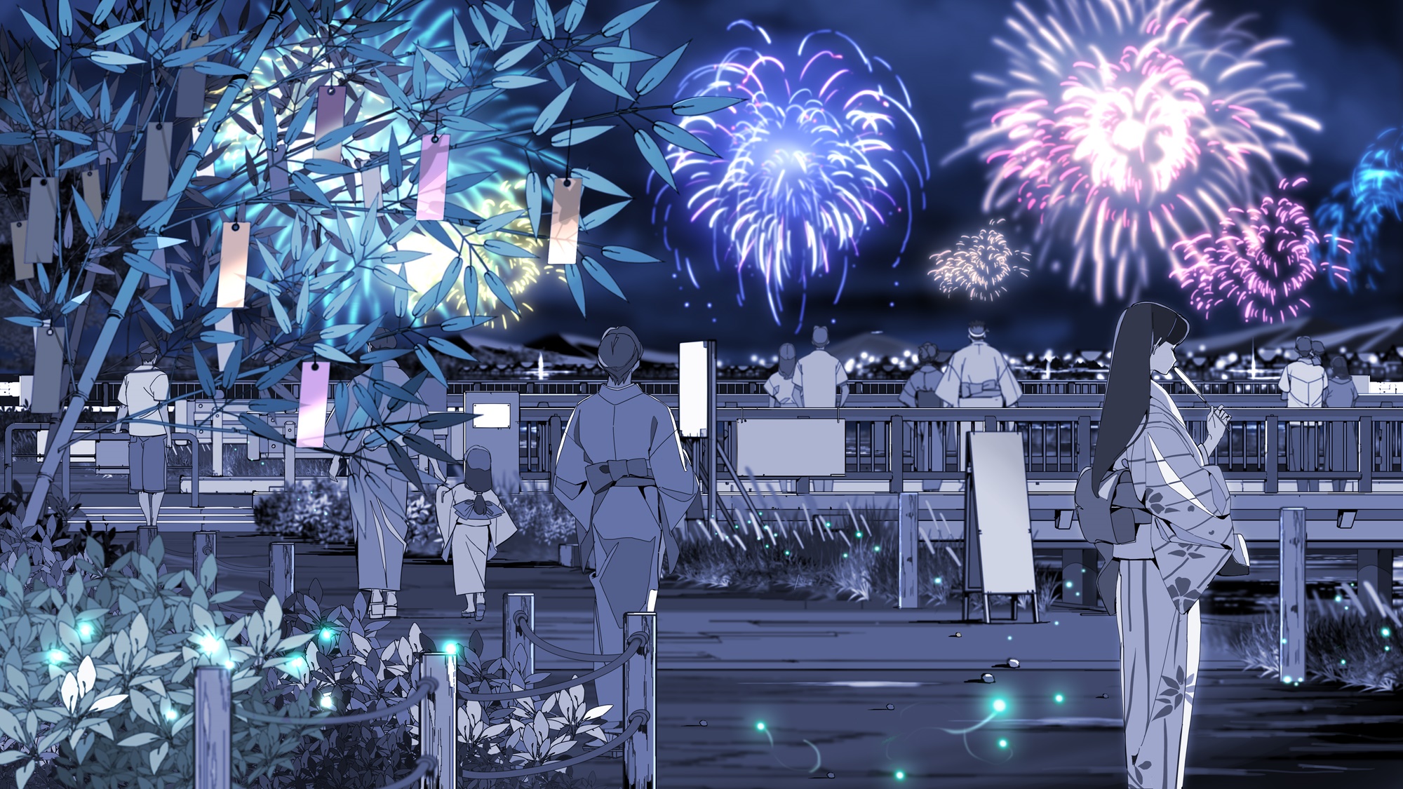 People watching fireworks at night HD Wallpaper