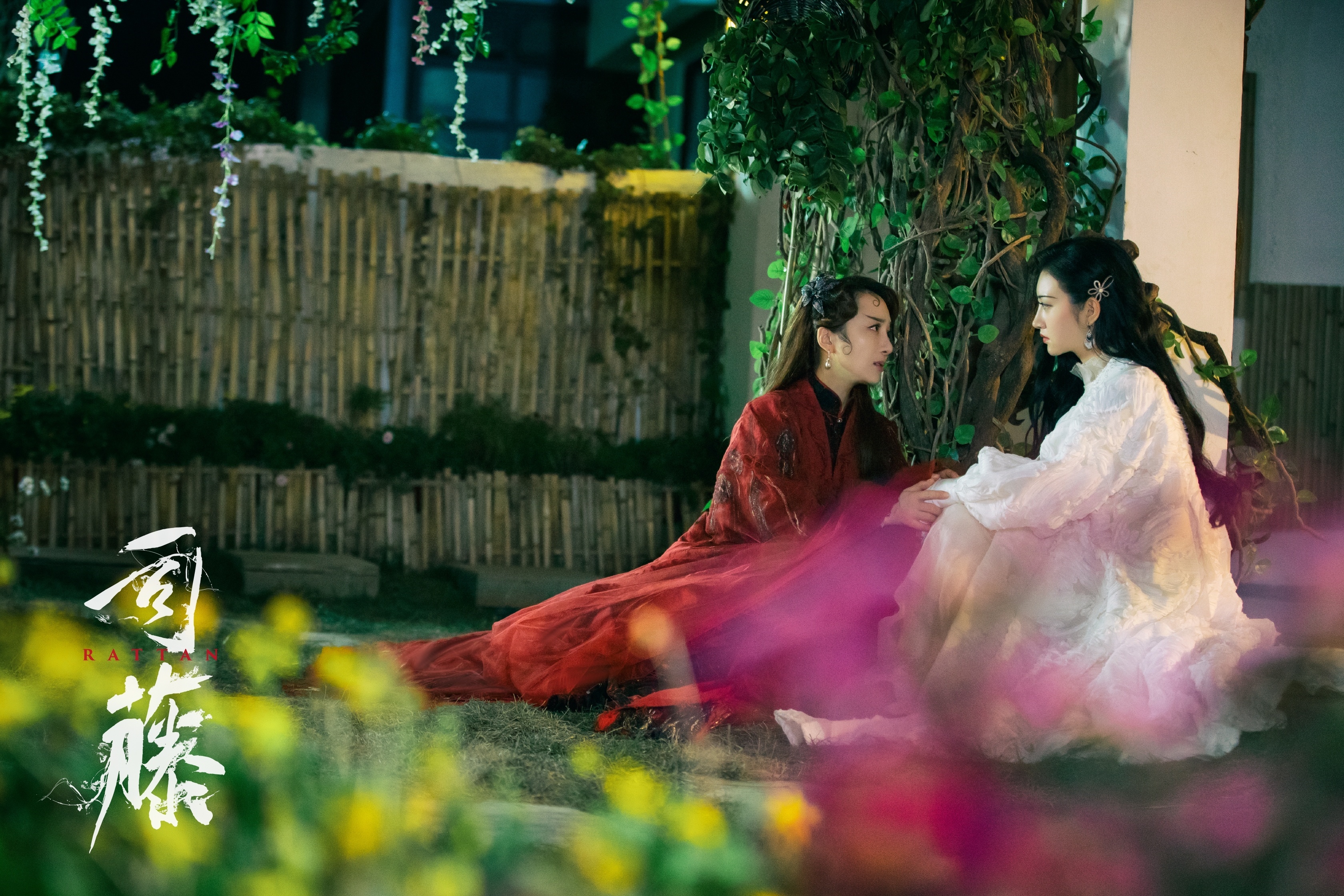 Si Teng and Bai Ying from Rattan HD Wallpaper
