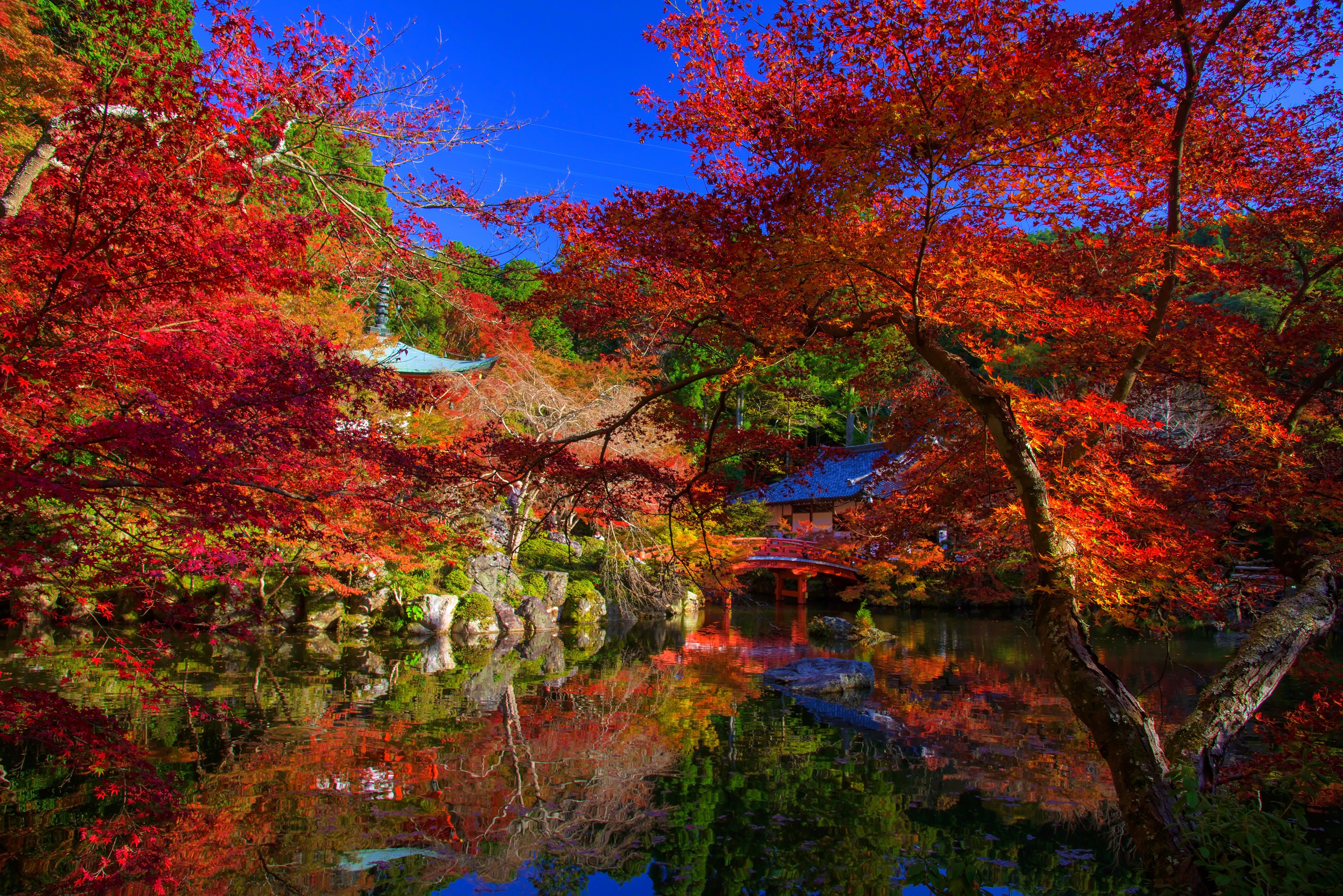 Japanese Garden with Red Maple Leaves and Reflection HD Wallpaper