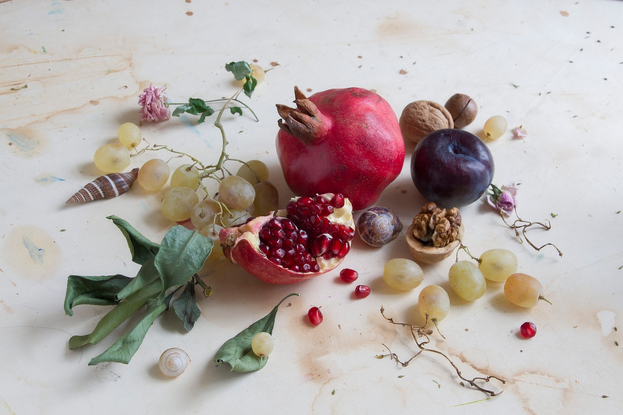 Still Life with Pomegranate, Grapes, and Walnuts HD Wallpaper