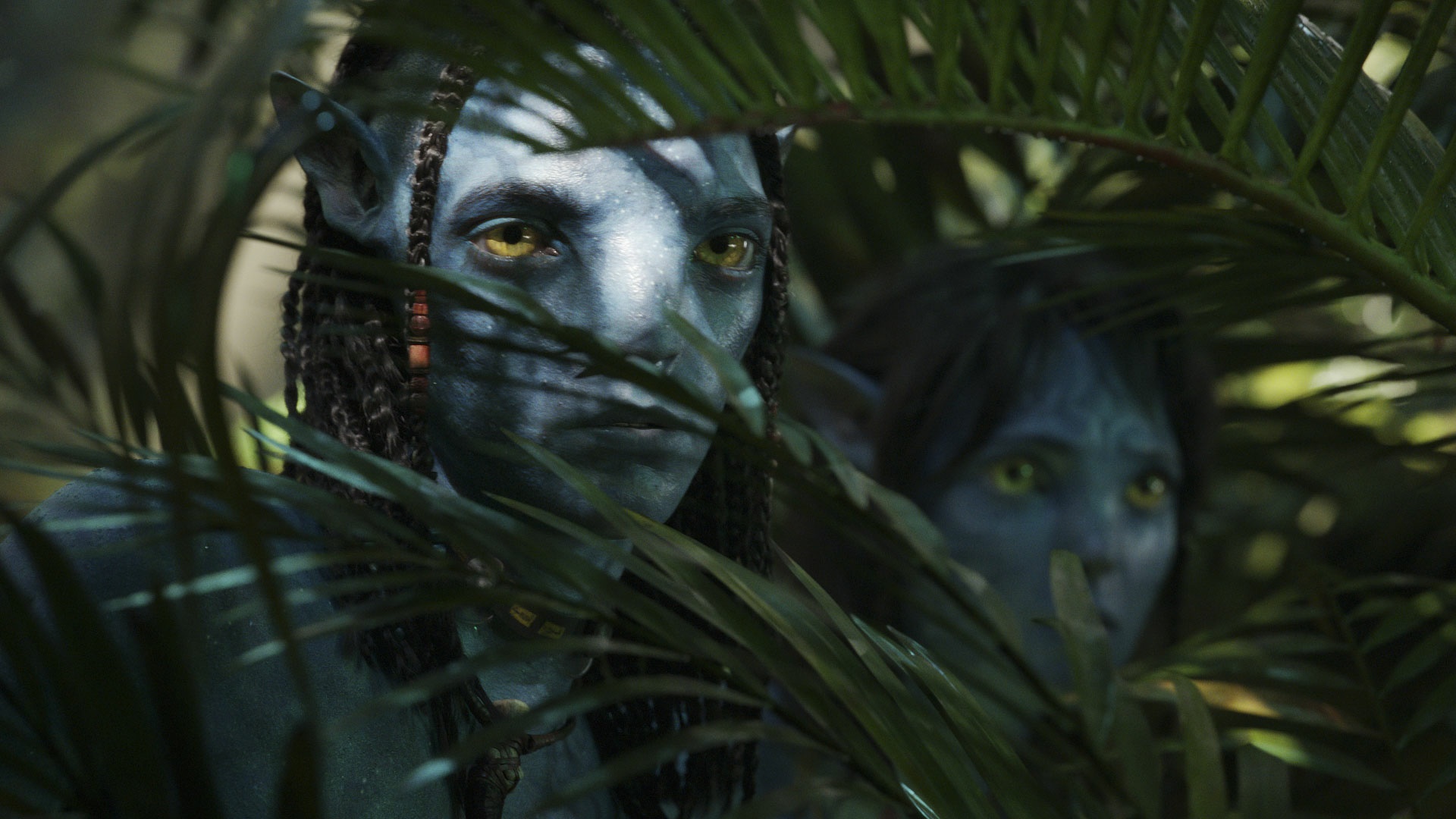 Avatar: The Way of Water HD Wallpaper