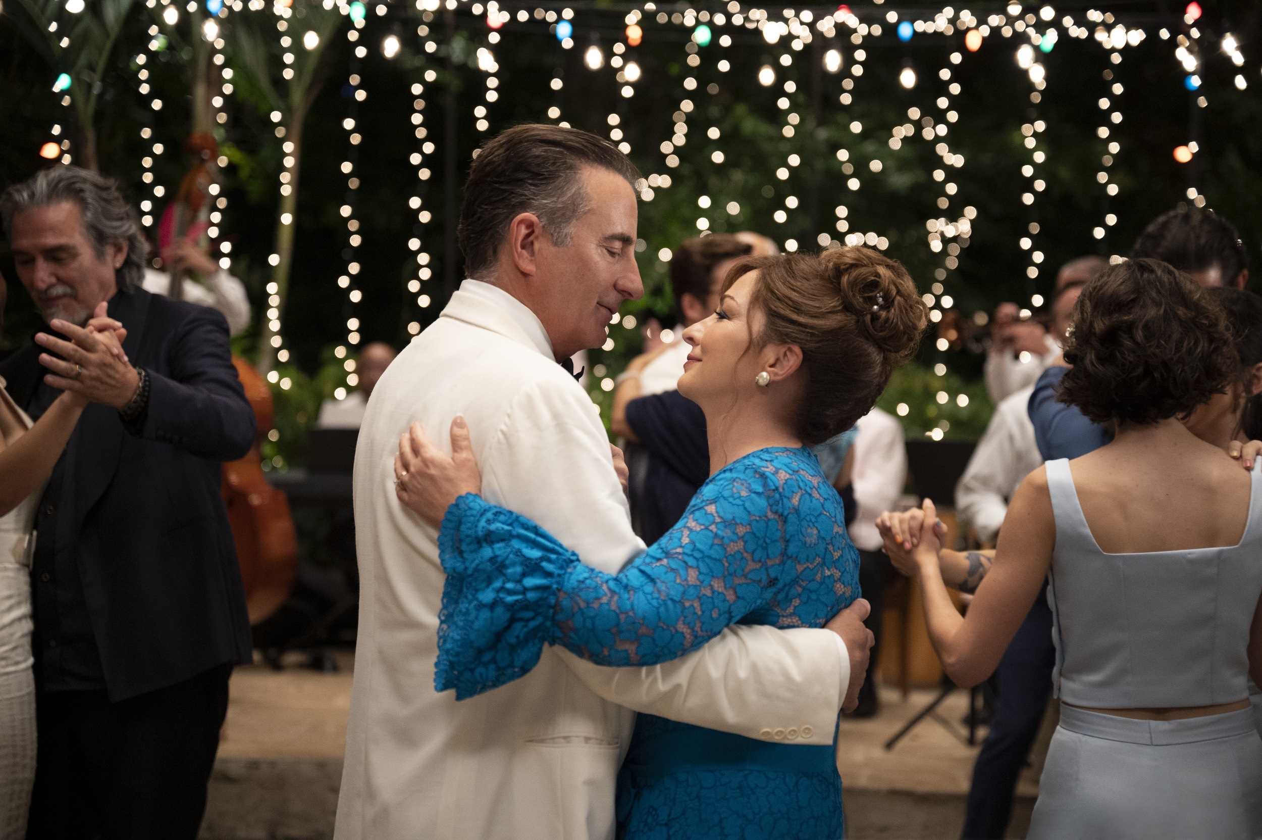 Andy Garcia in Father of the Bride HD Wallpaper