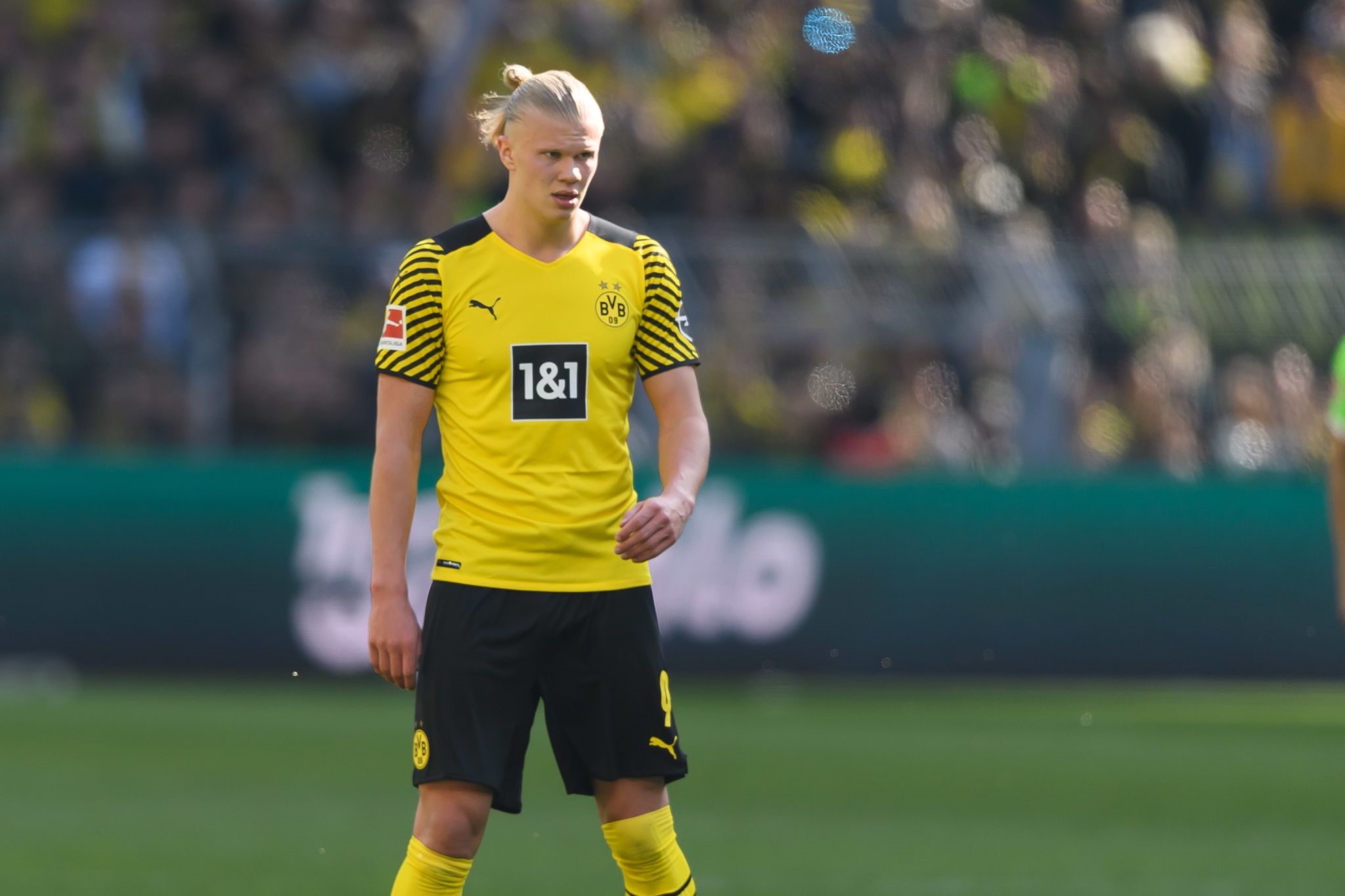 Erling Haaland of Borussia Dortmund HD Wallpaper