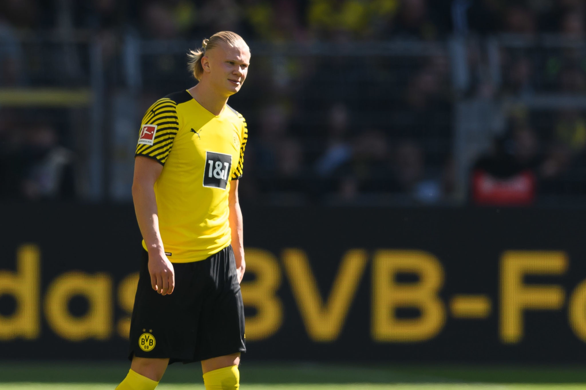 Erling Haaland of Borussia Dortmund HD Wallpaper