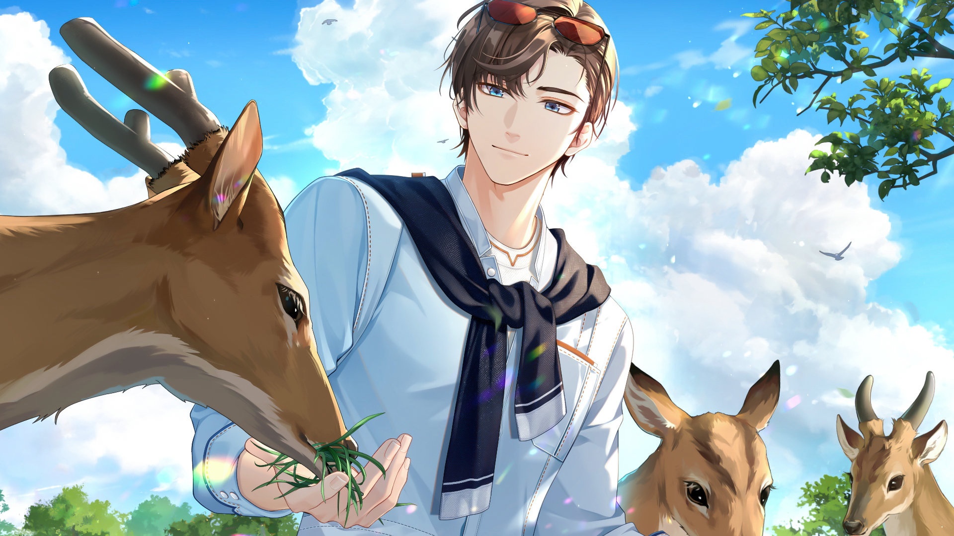 Sakyo Shizuma from Tears Of Themis feeding deer HD Wallpaper