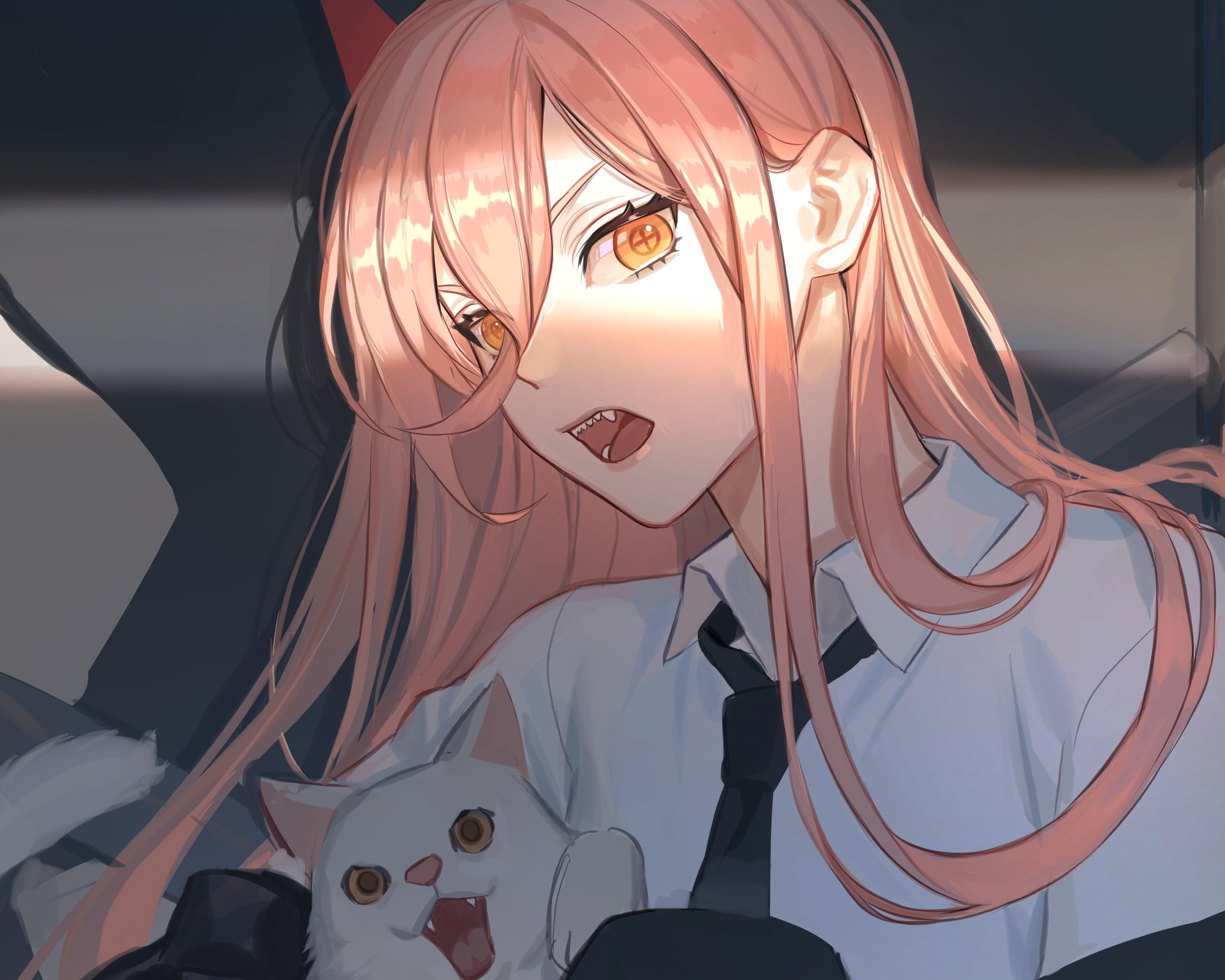 Power from Chainsaw Man with a cat HD Wallpaper