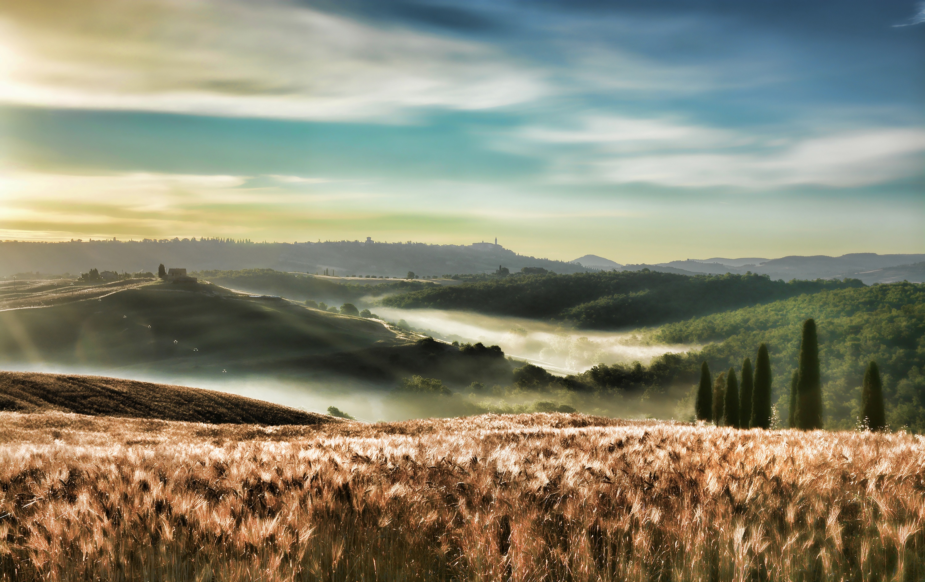 Summer landscape with wheat field and rolling hills HD Wallpaper