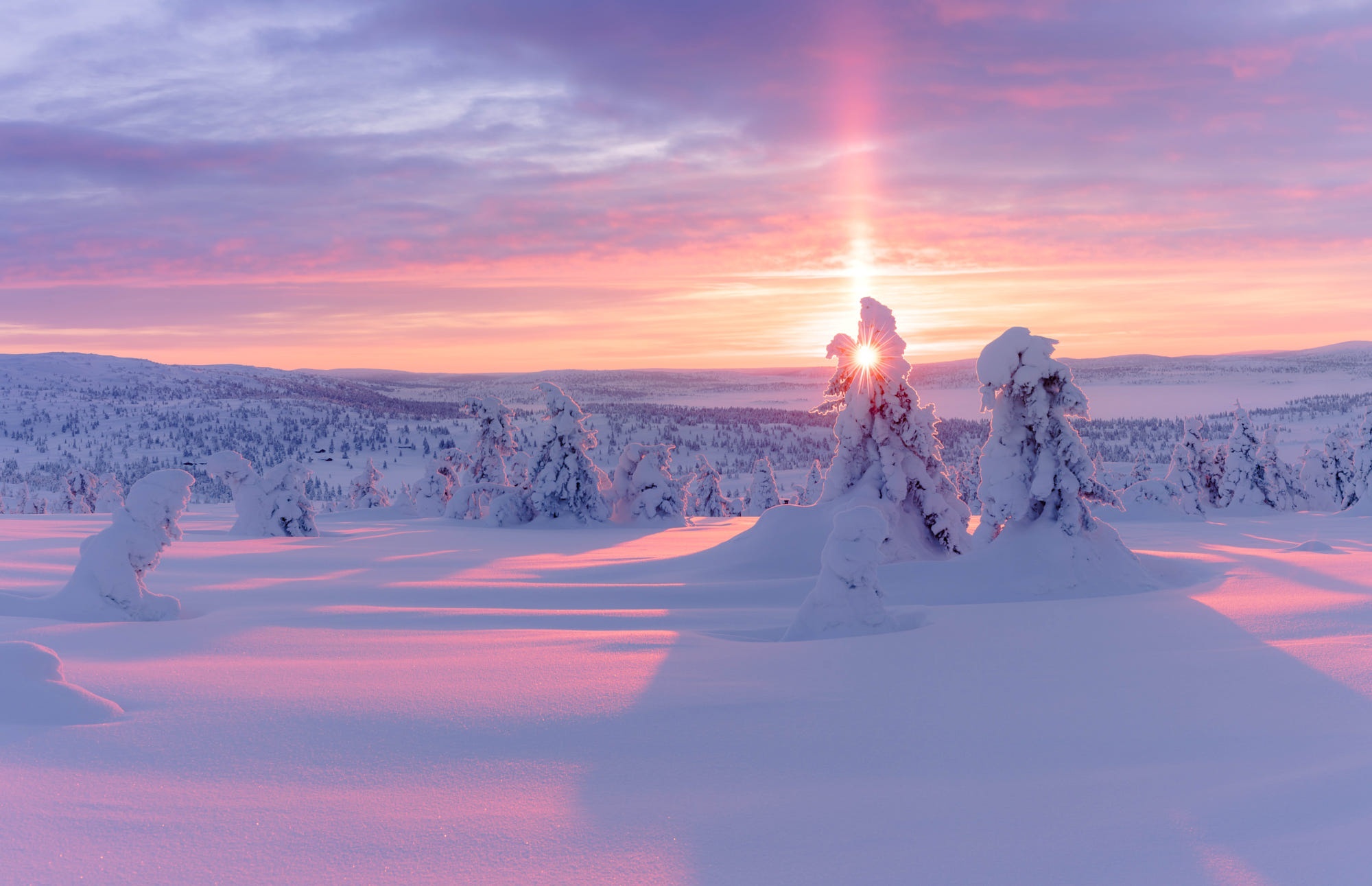 Sunset over snow-covered trees in a winter landscape HD Wallpaper
