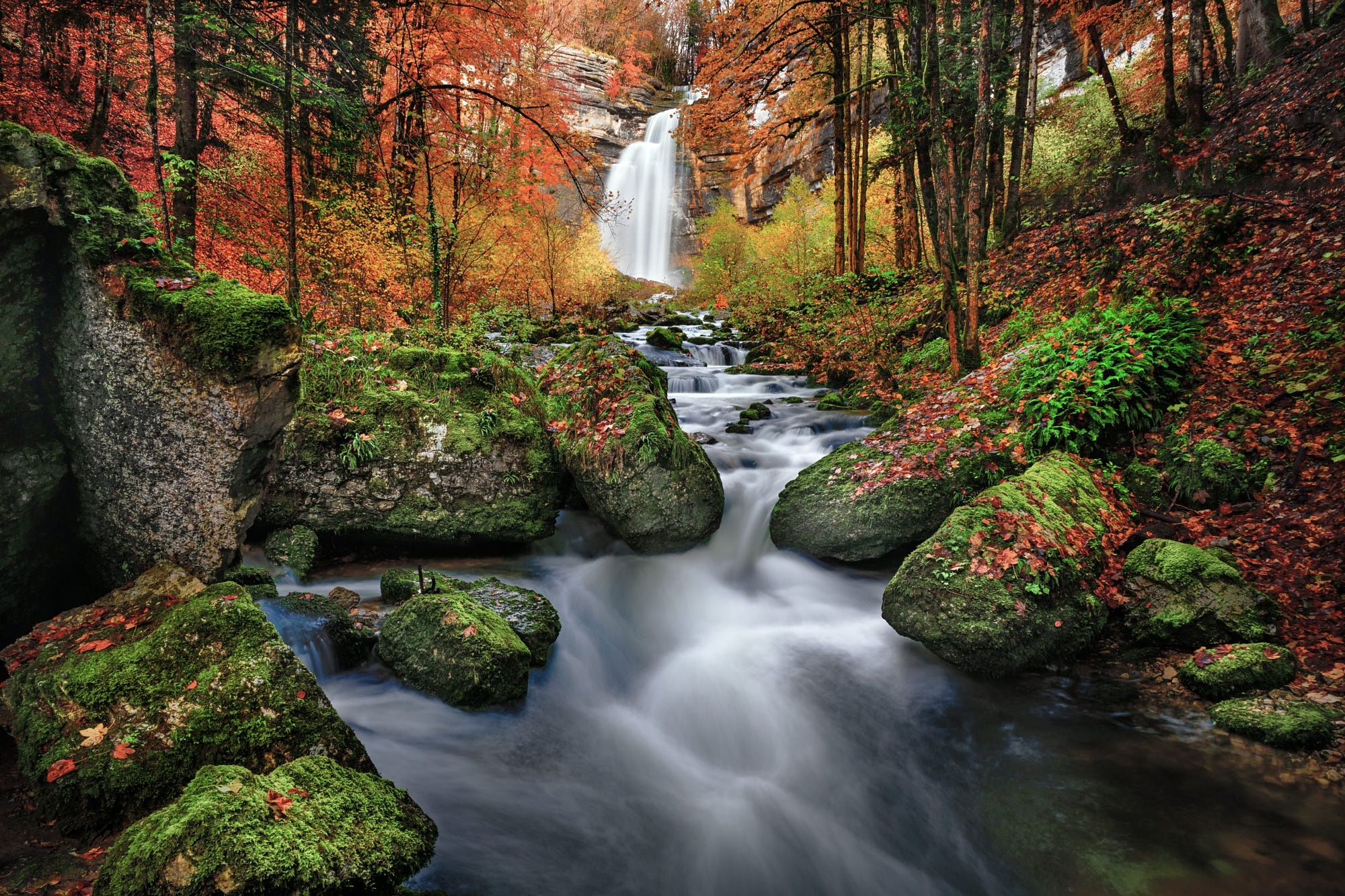 Waterfall in autumn forest with mossy rocks HD Wallpaper
