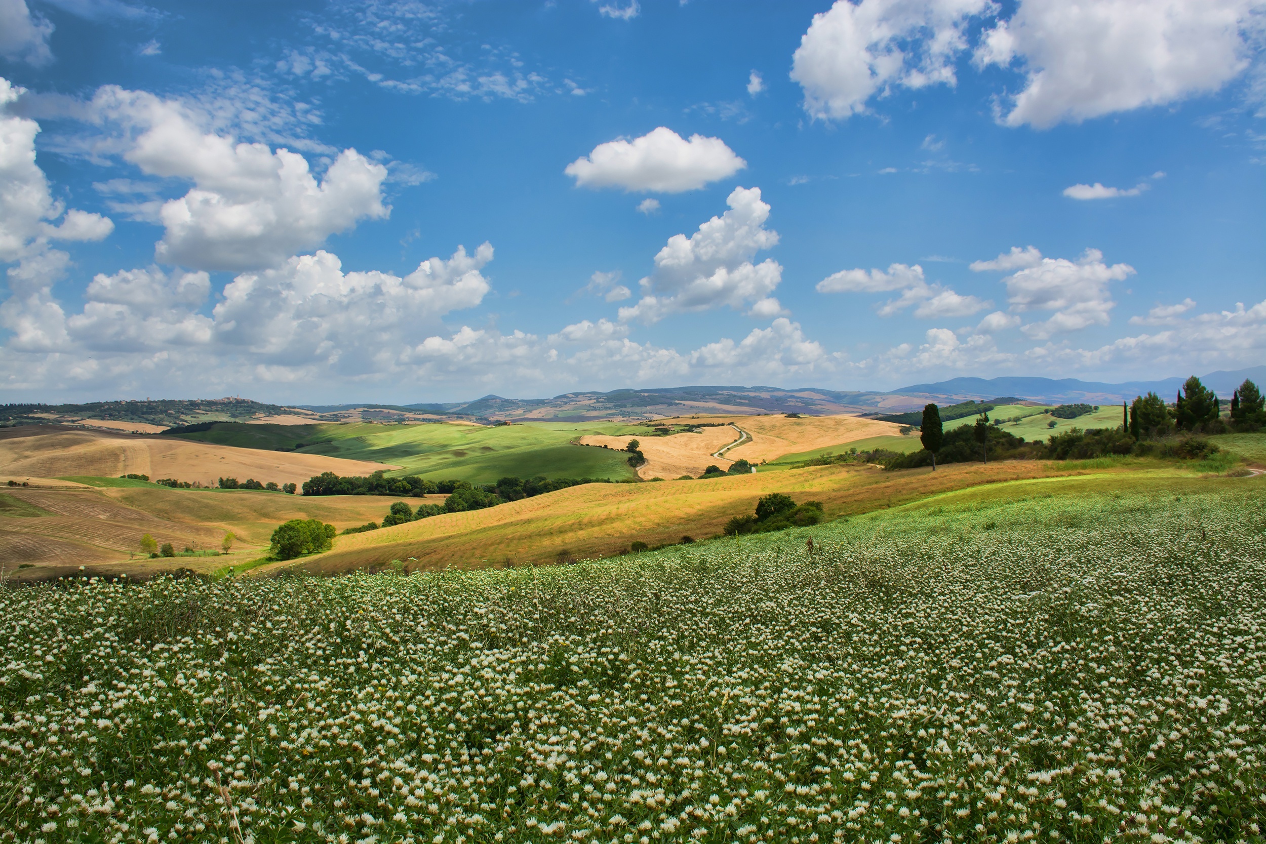 Tuscan Landscape with Rolling Hills and Wildflowers HD Wallpaper