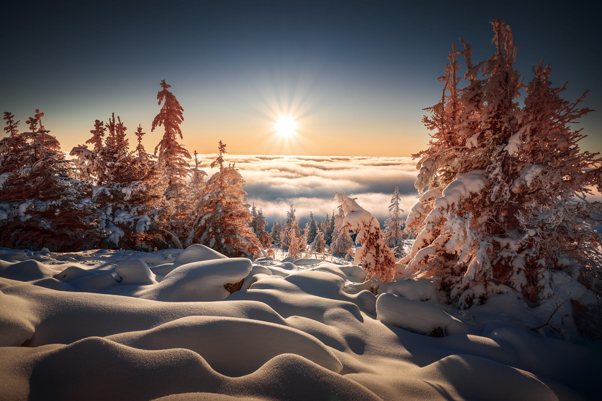 Sunrise over a cloud-filled valley with snow-covered trees HD Wallpaper