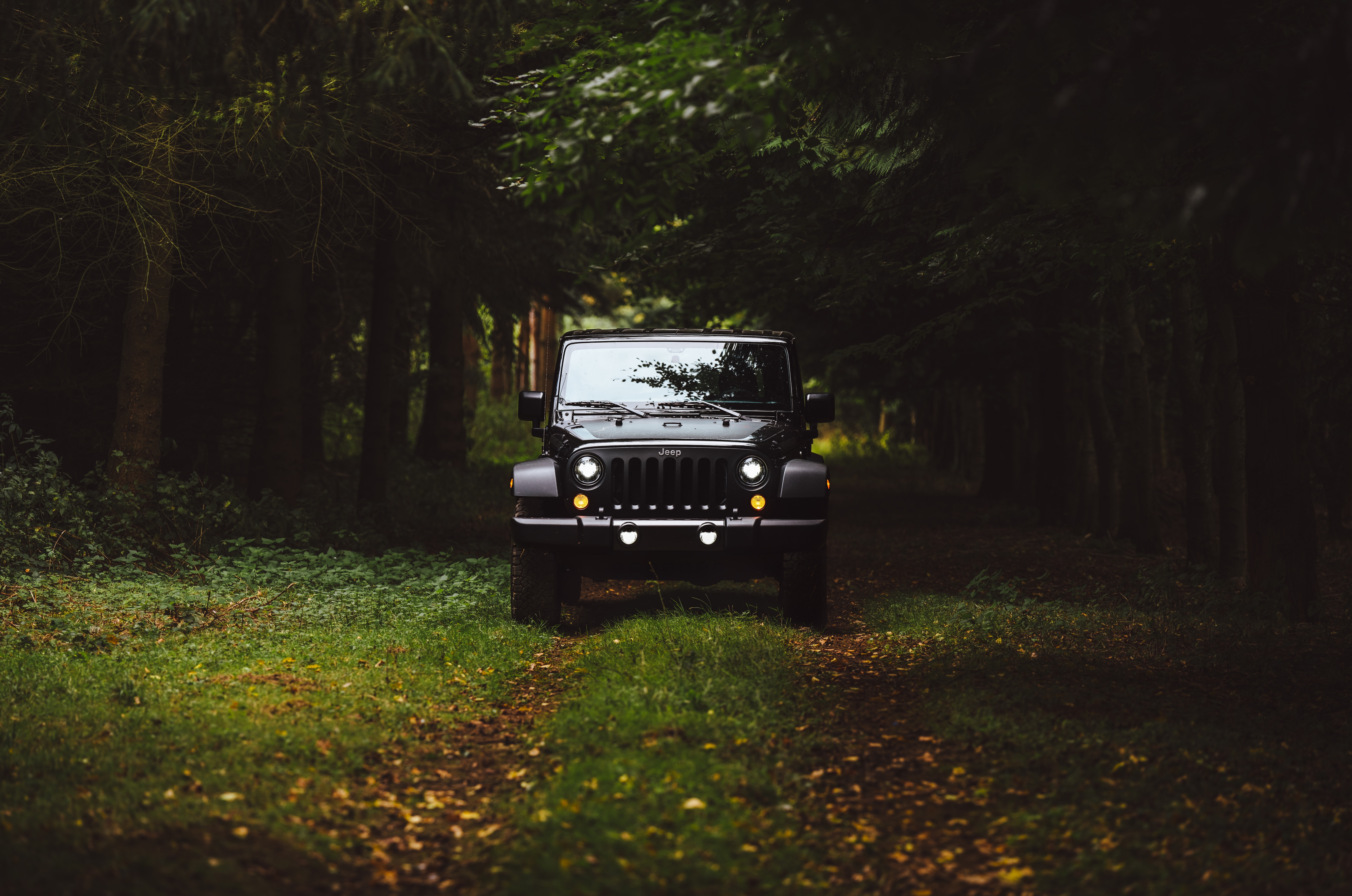 Black Jeep Wrangler on a forest path HD Wallpaper