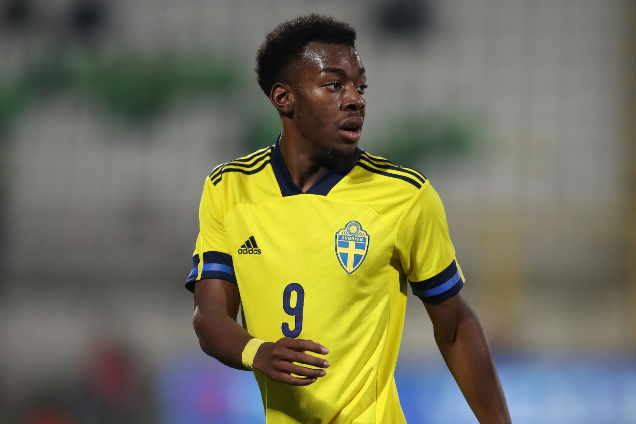 Anthony Elanga of Sweden National Football Team HD Wallpaper