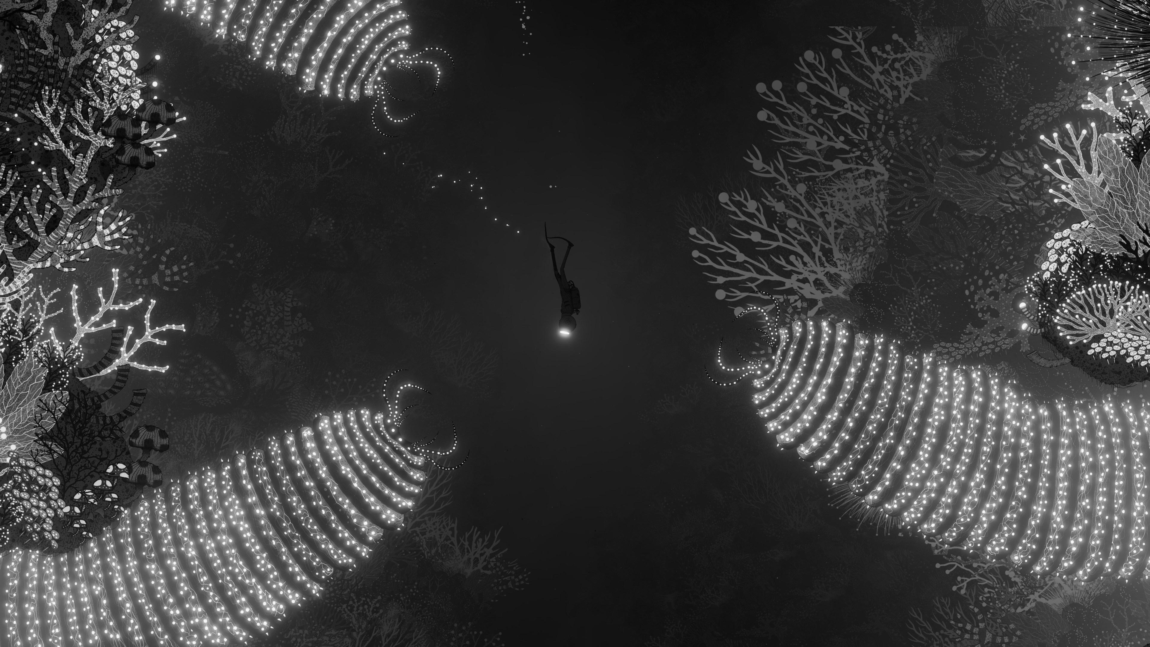 Diver in dark ocean with glowing coral HD Wallpaper