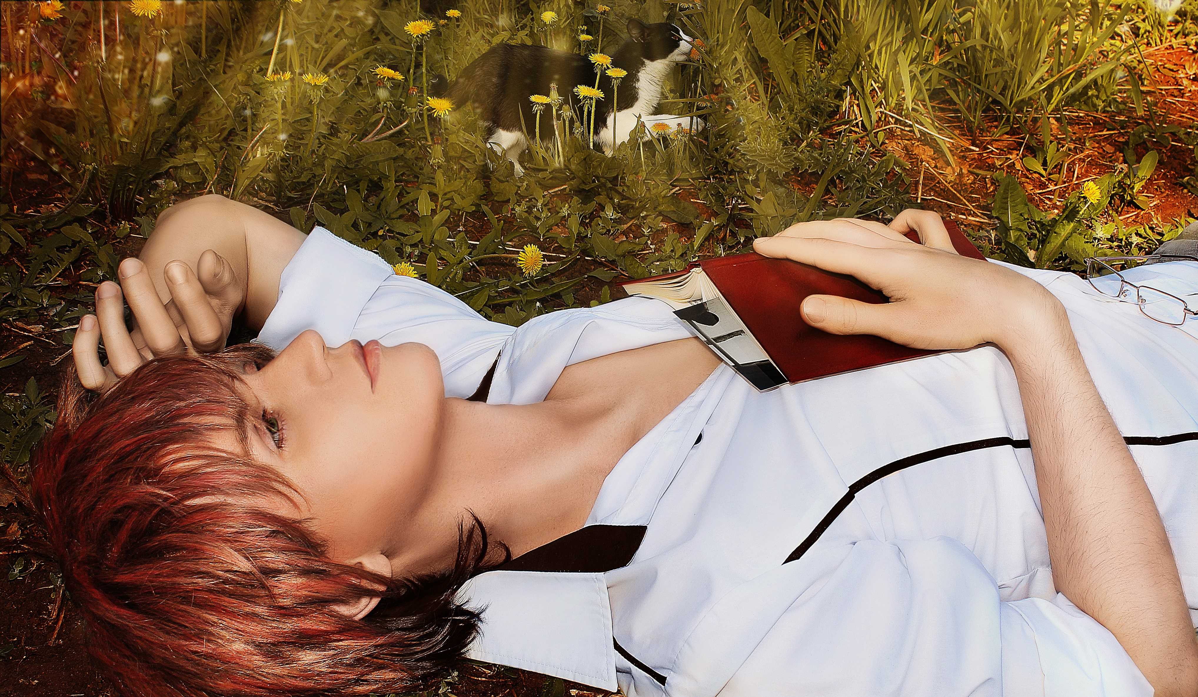 Person lying on grass with a book and a cat HD Wallpaper