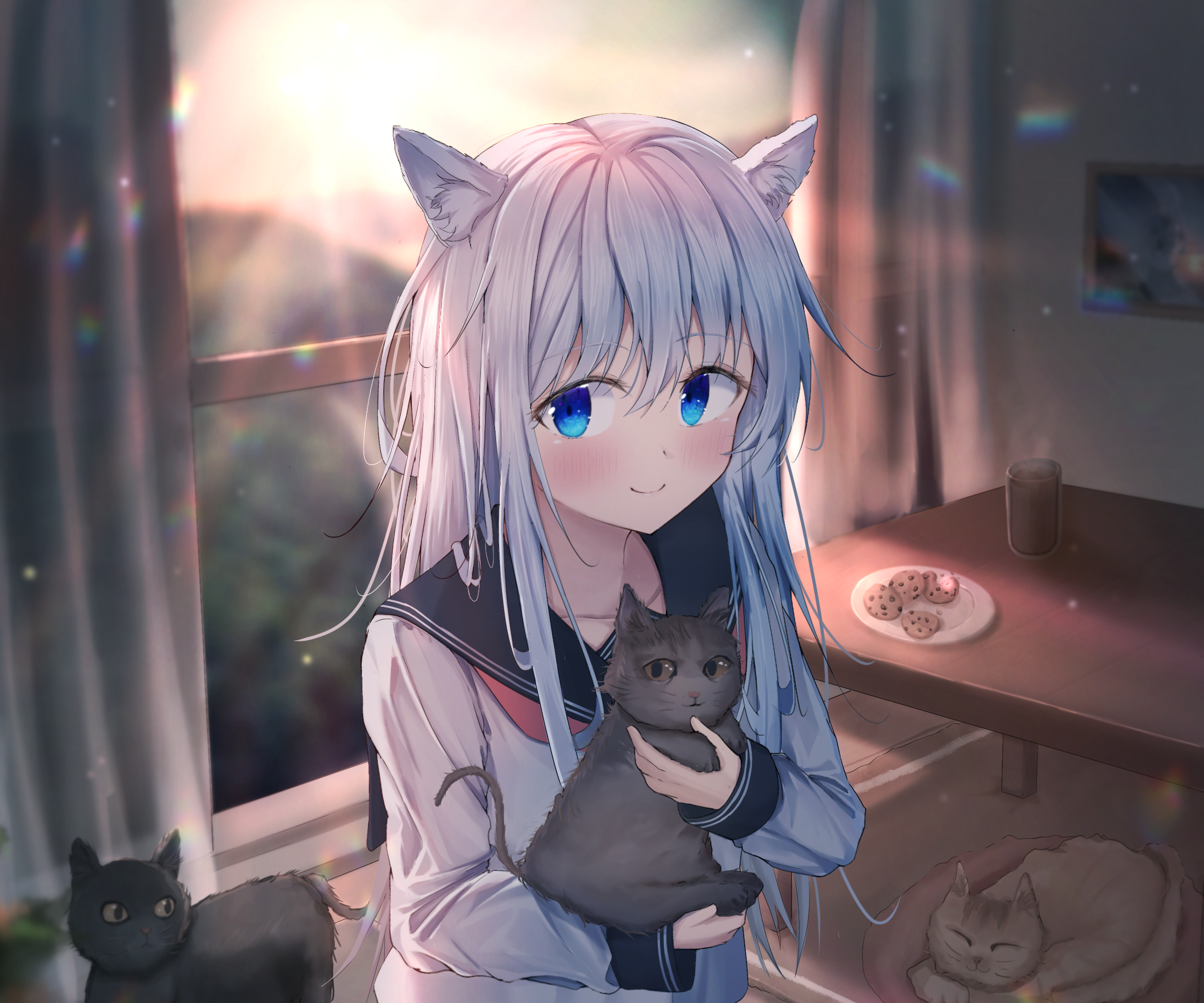 Hibiki from Kantai Collection with cats HD Wallpaper