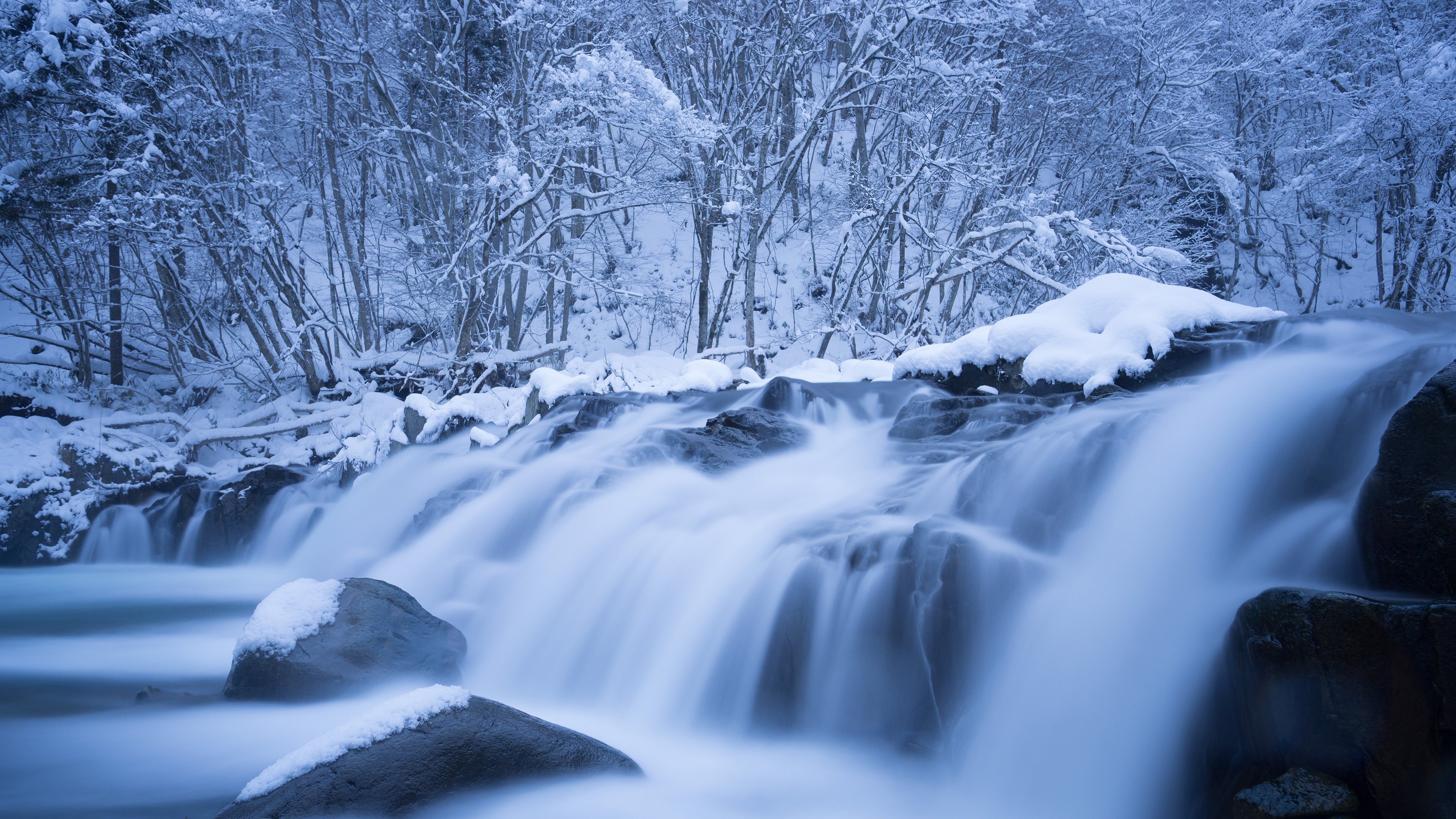 Waterfall in a Snowy Forest 4K HD Wallpaper