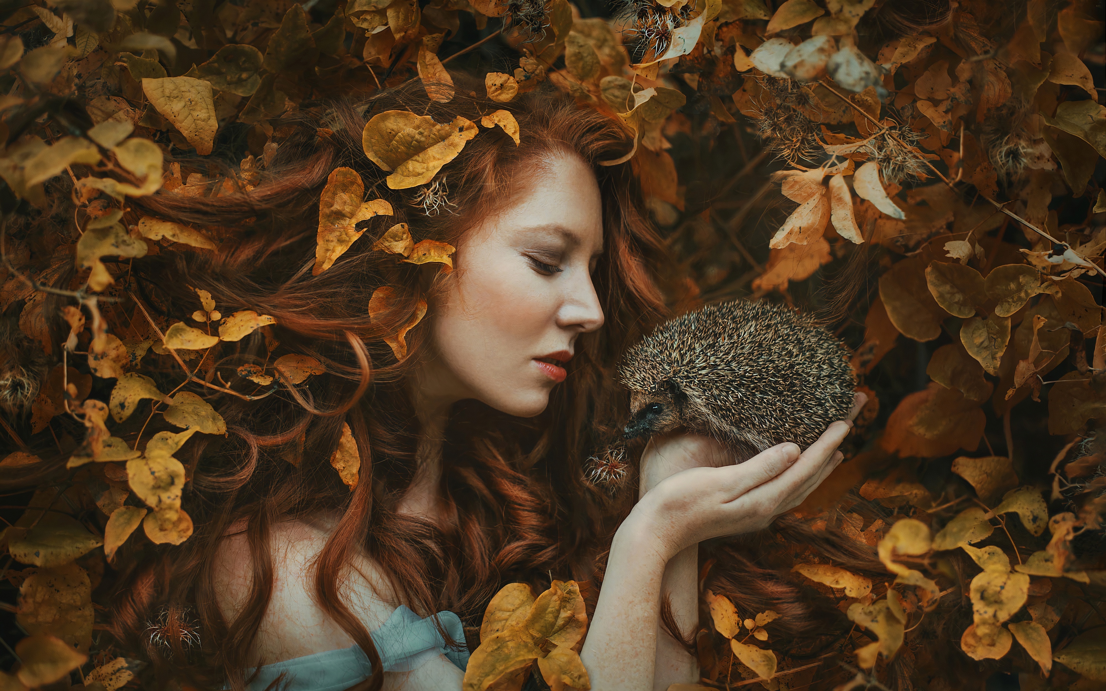 Woman with red hair and hedgehog in autumn leaves 4K HD Wallpaper