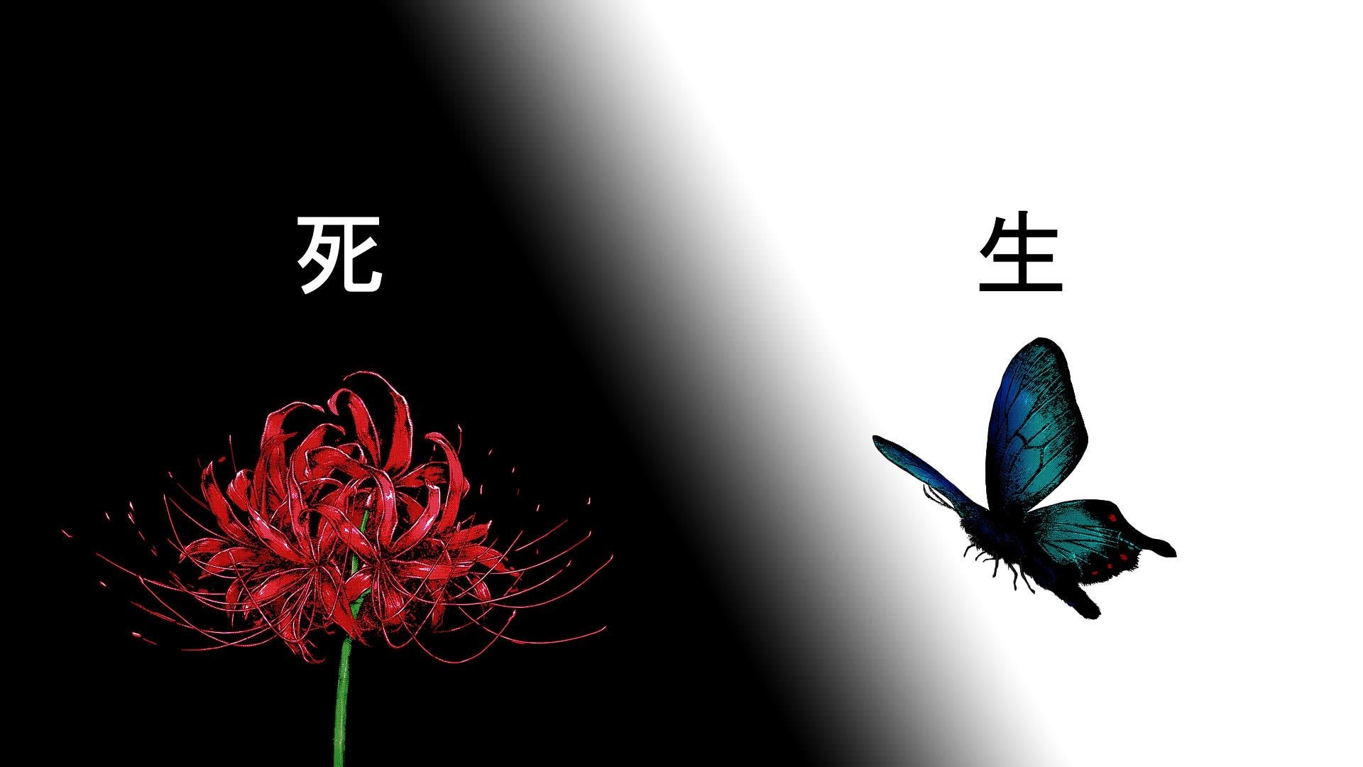 Red spider lily and blue butterfly with Japanese text HD Wallpaper