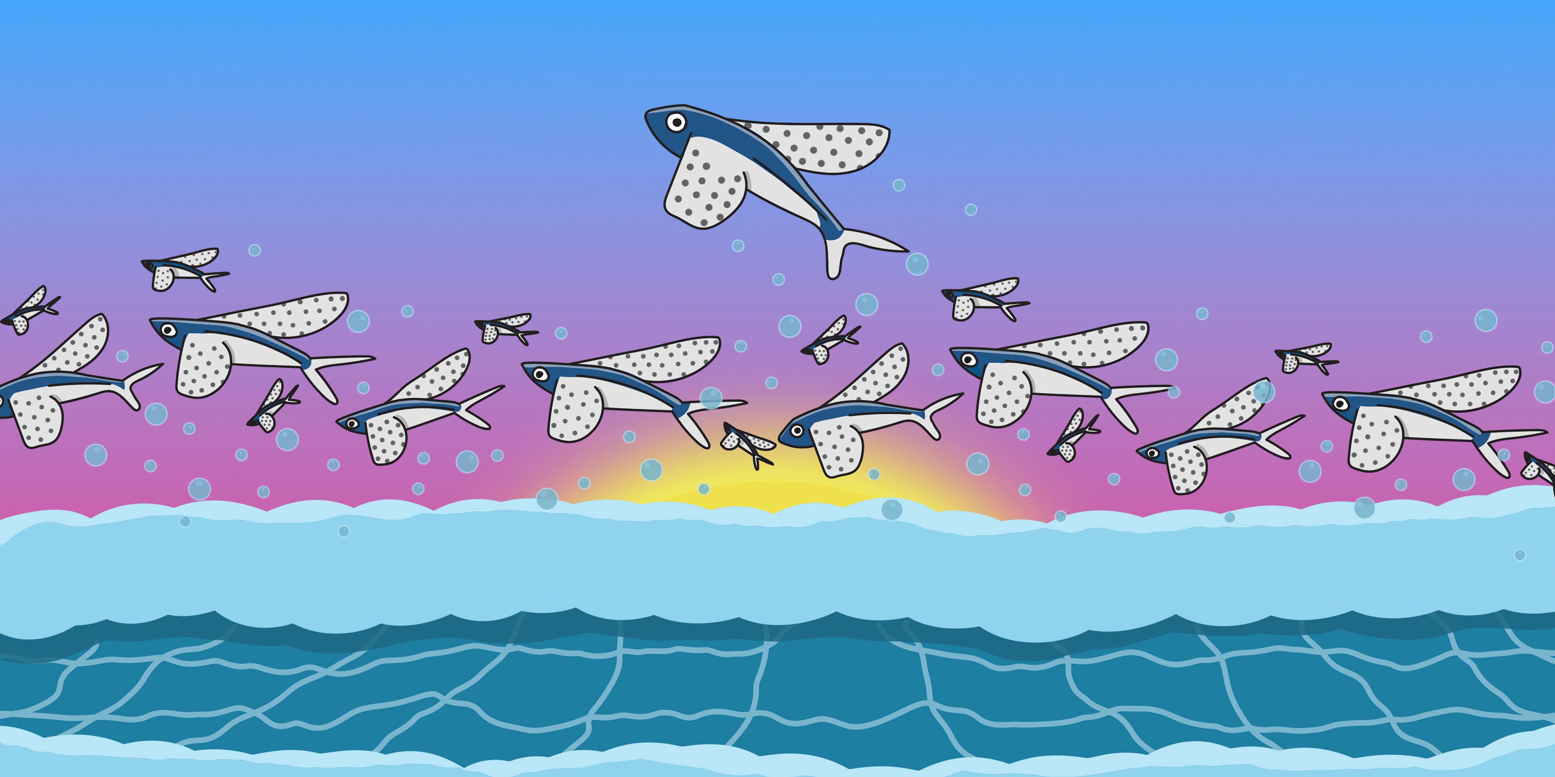 Flying fish leaping from ocean at sunset HD Wallpaper