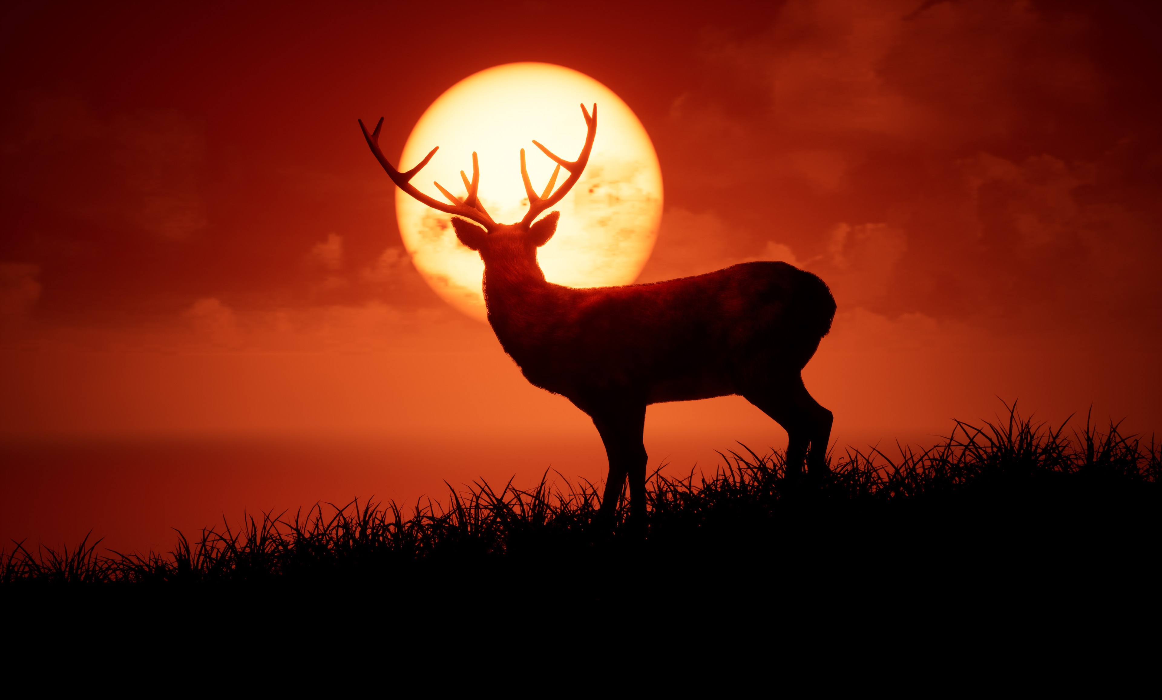 Deer silhouetted against a large, bright moon HD Wallpaper