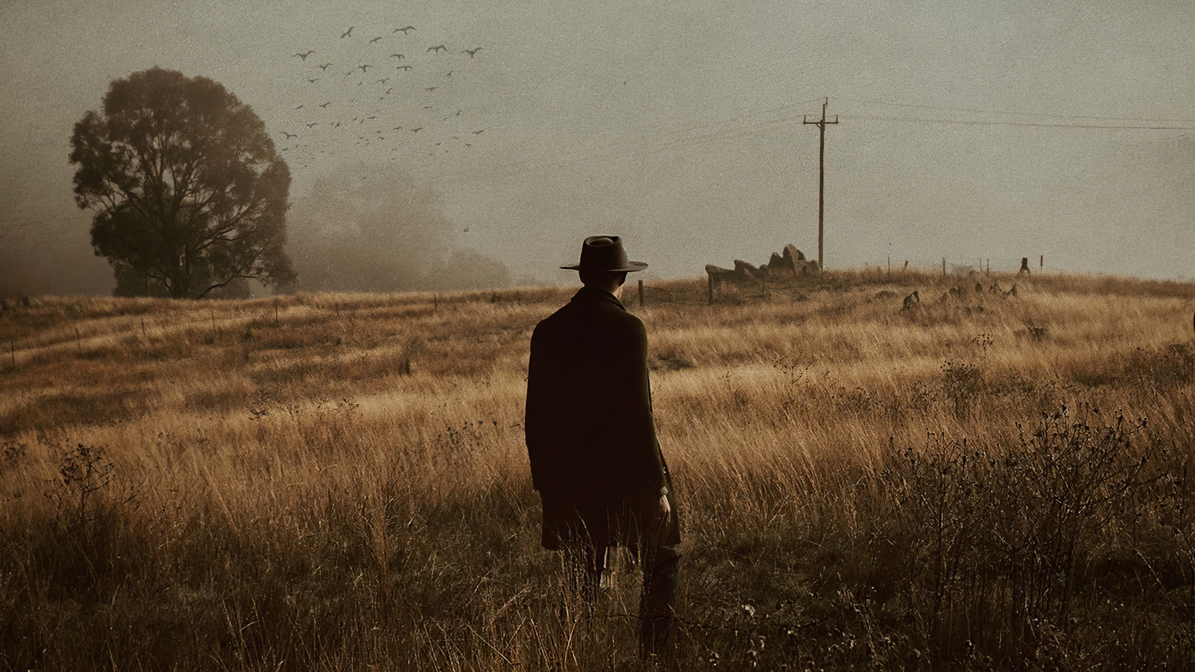 Man in hat in a field with a tree and birds HD Wallpaper