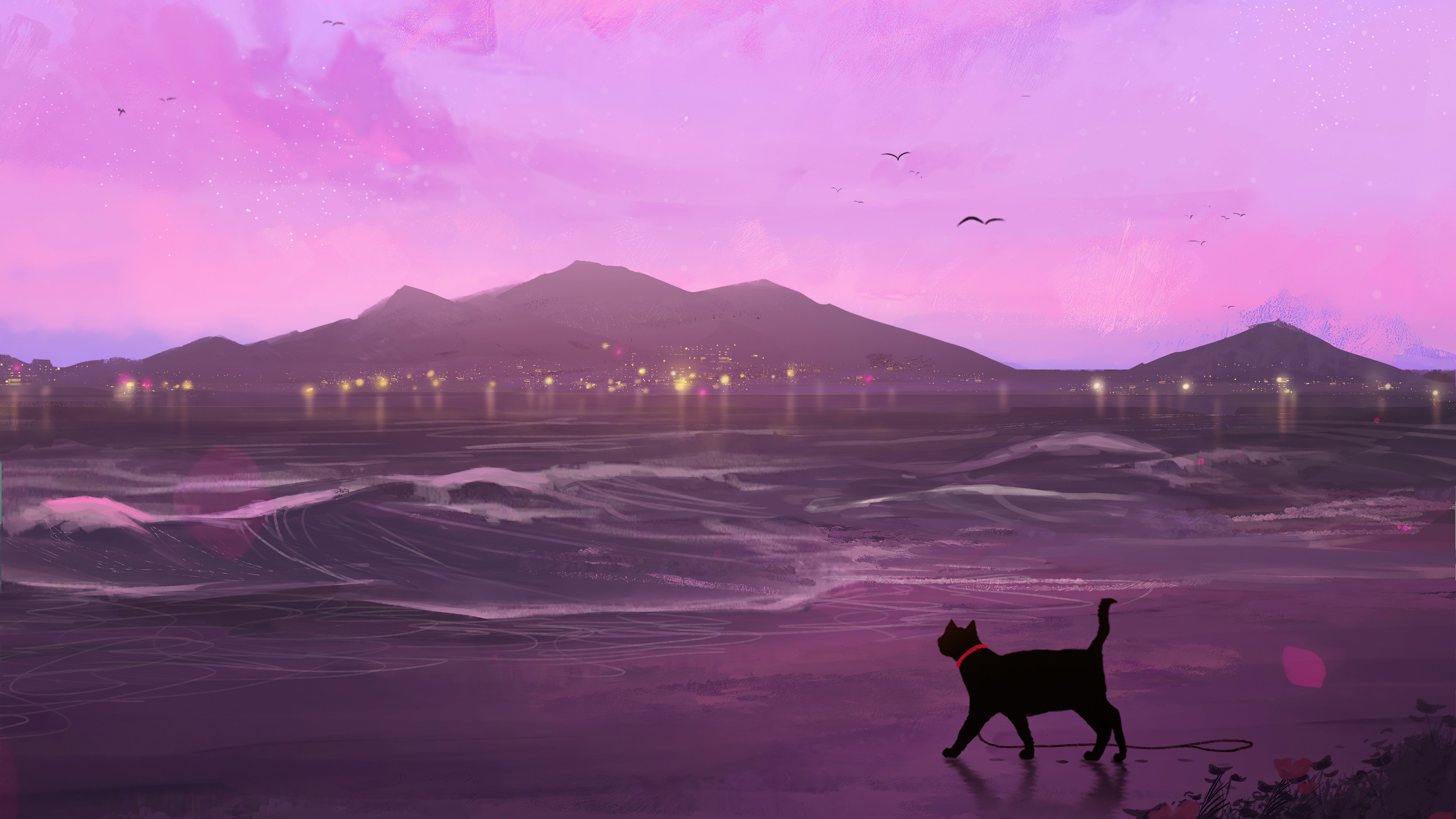 Black cat on a beach at sunset with mountains HD Wallpaper