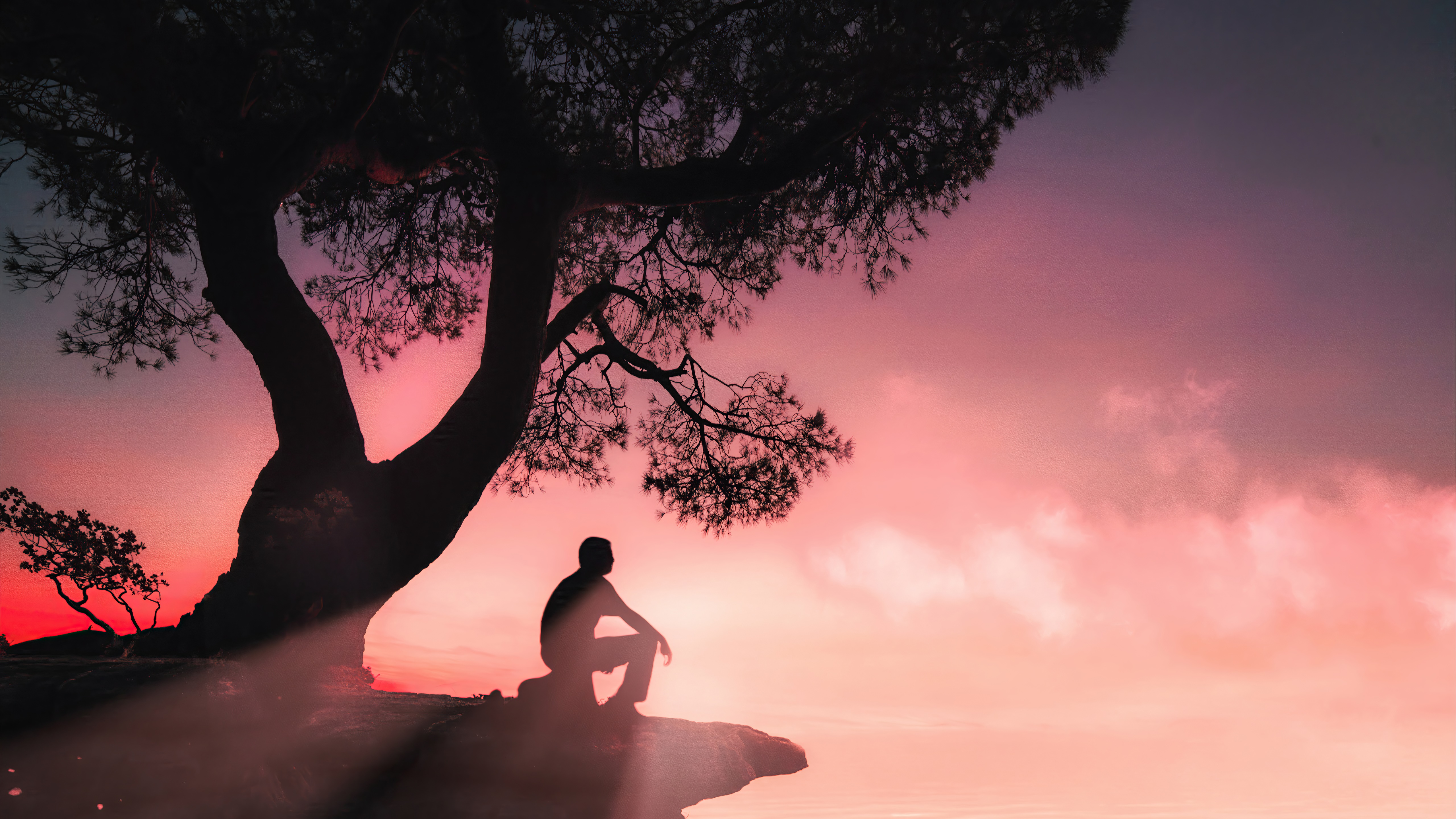 Silhouette of a person sitting under a tree at sunset HD Wallpaper