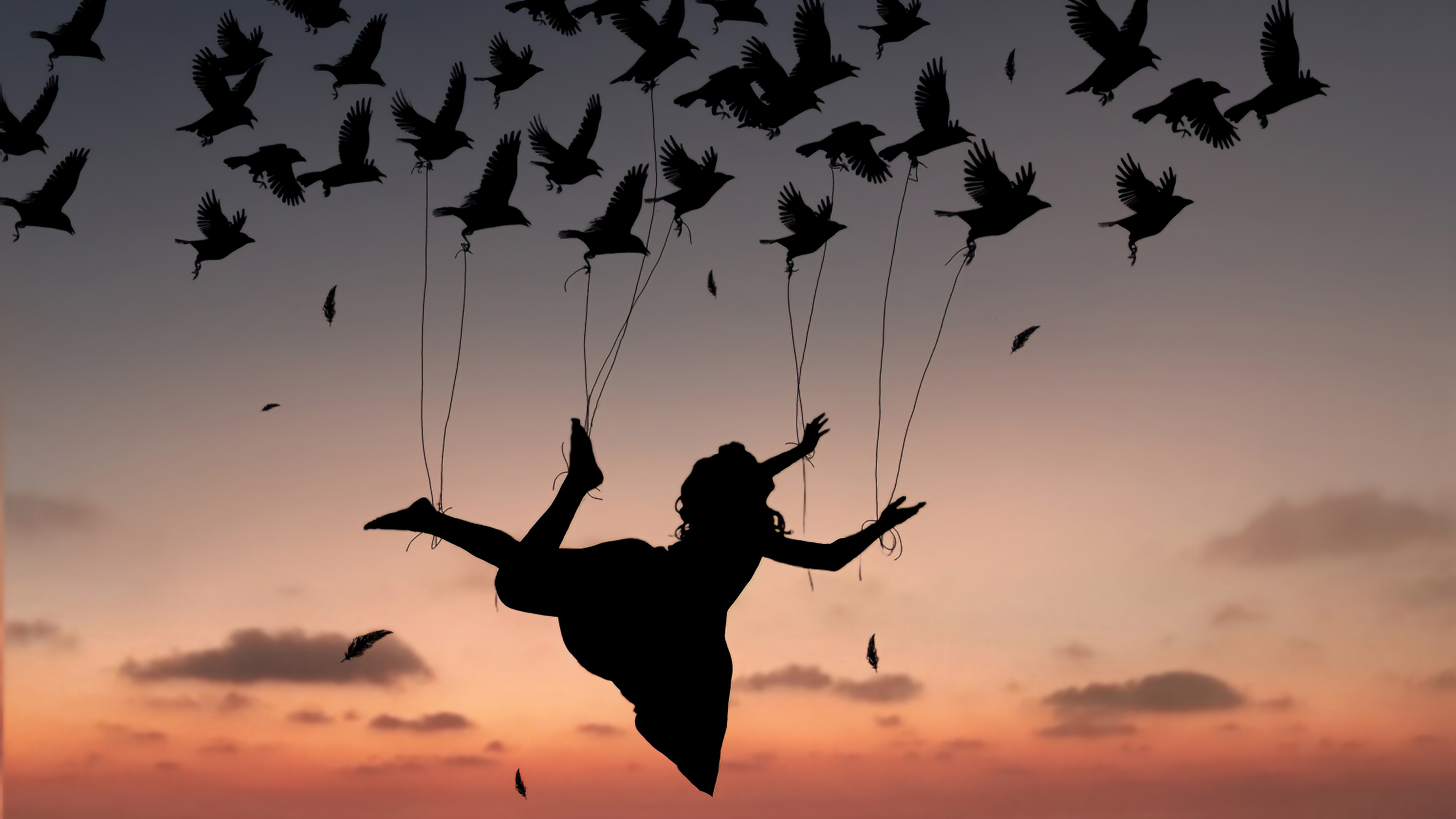 Silhouette of a person suspended by birds against a sunset HD Wallpaper