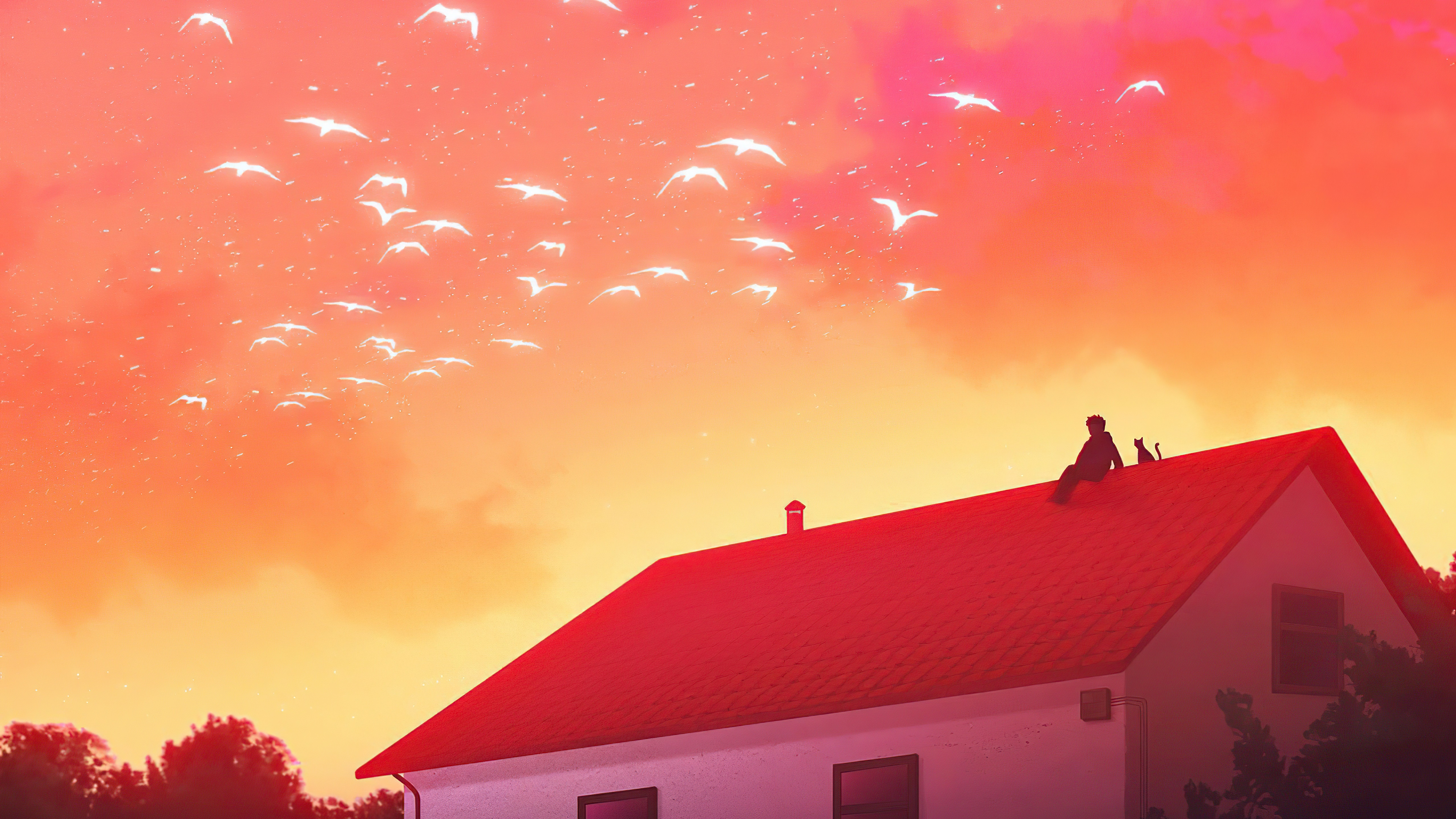 Silhouette of a person and cat on a rooftop with birds flying in a sunset sky HD Wallpaper