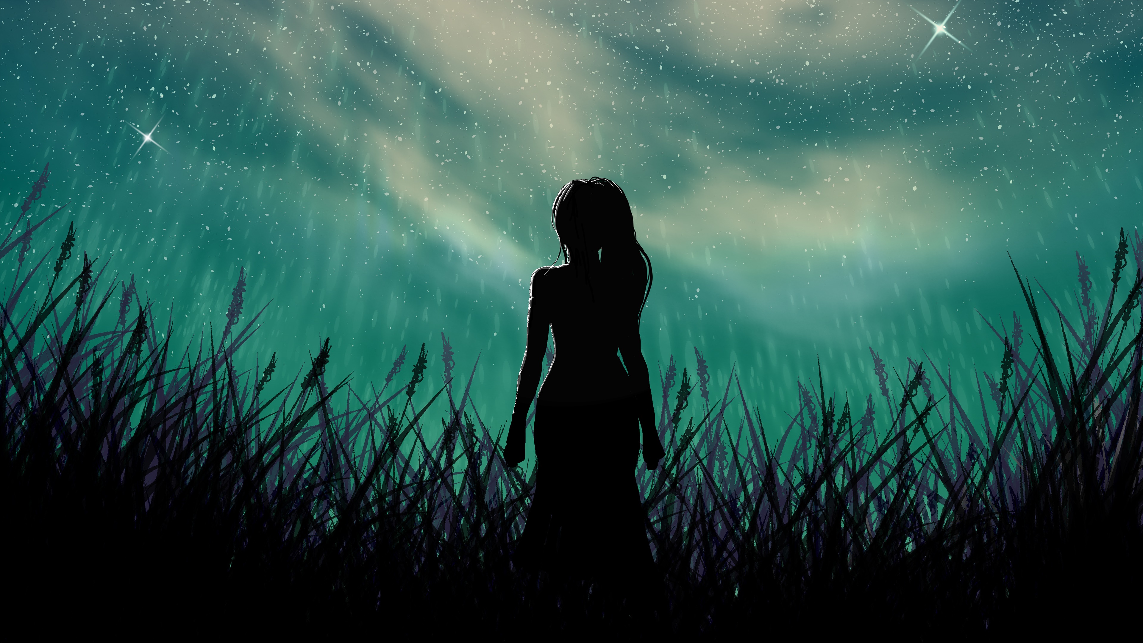 Silhouette of a woman in a field under a starry sky HD Wallpaper