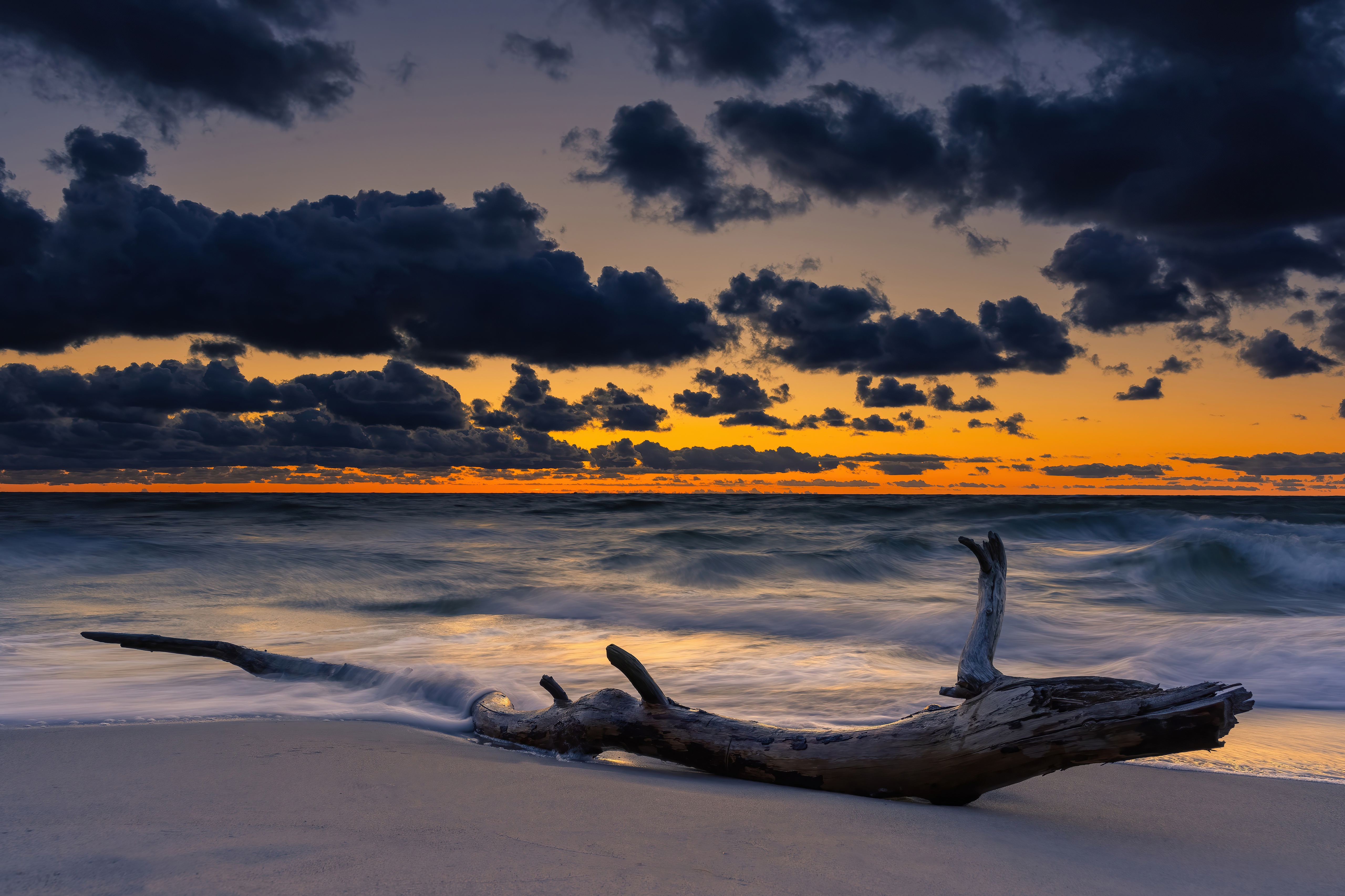 Driftwood on a beach at sunset with dark clouds HD Wallpaper