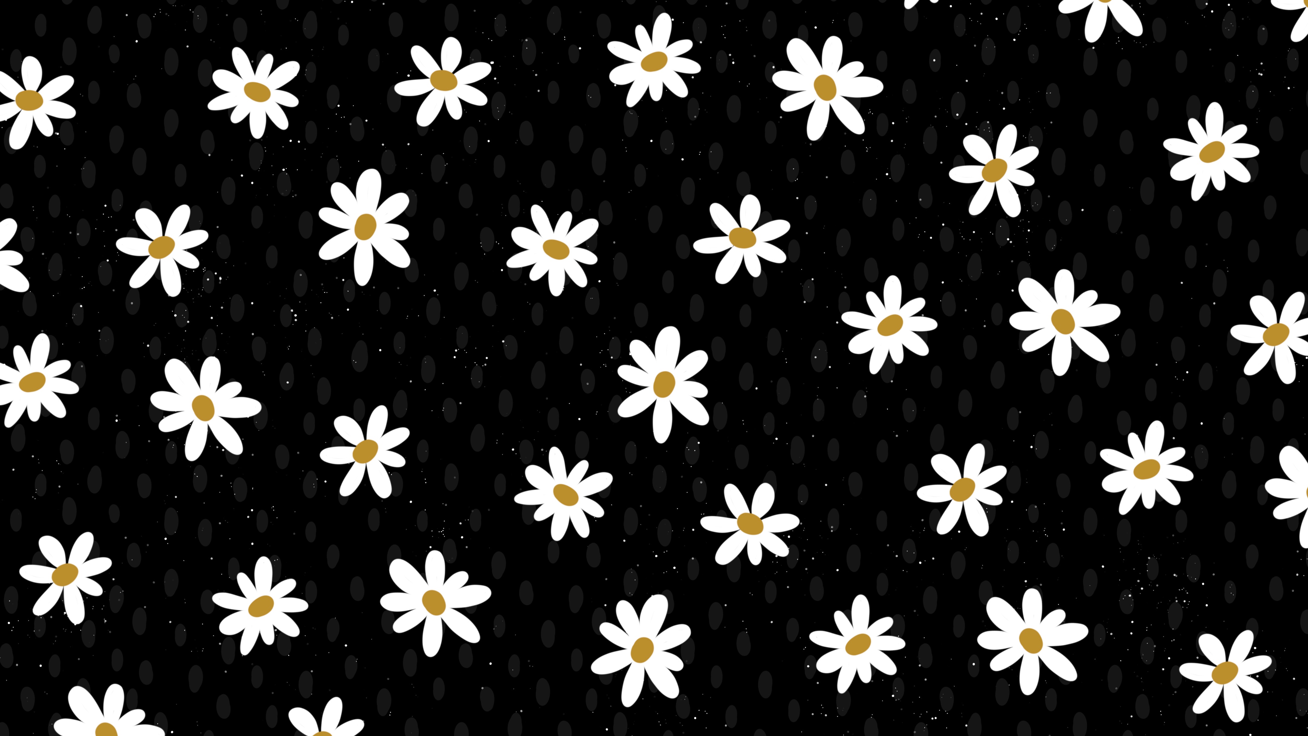 Abstract black background with white daisies and gold centers HD Wallpaper
