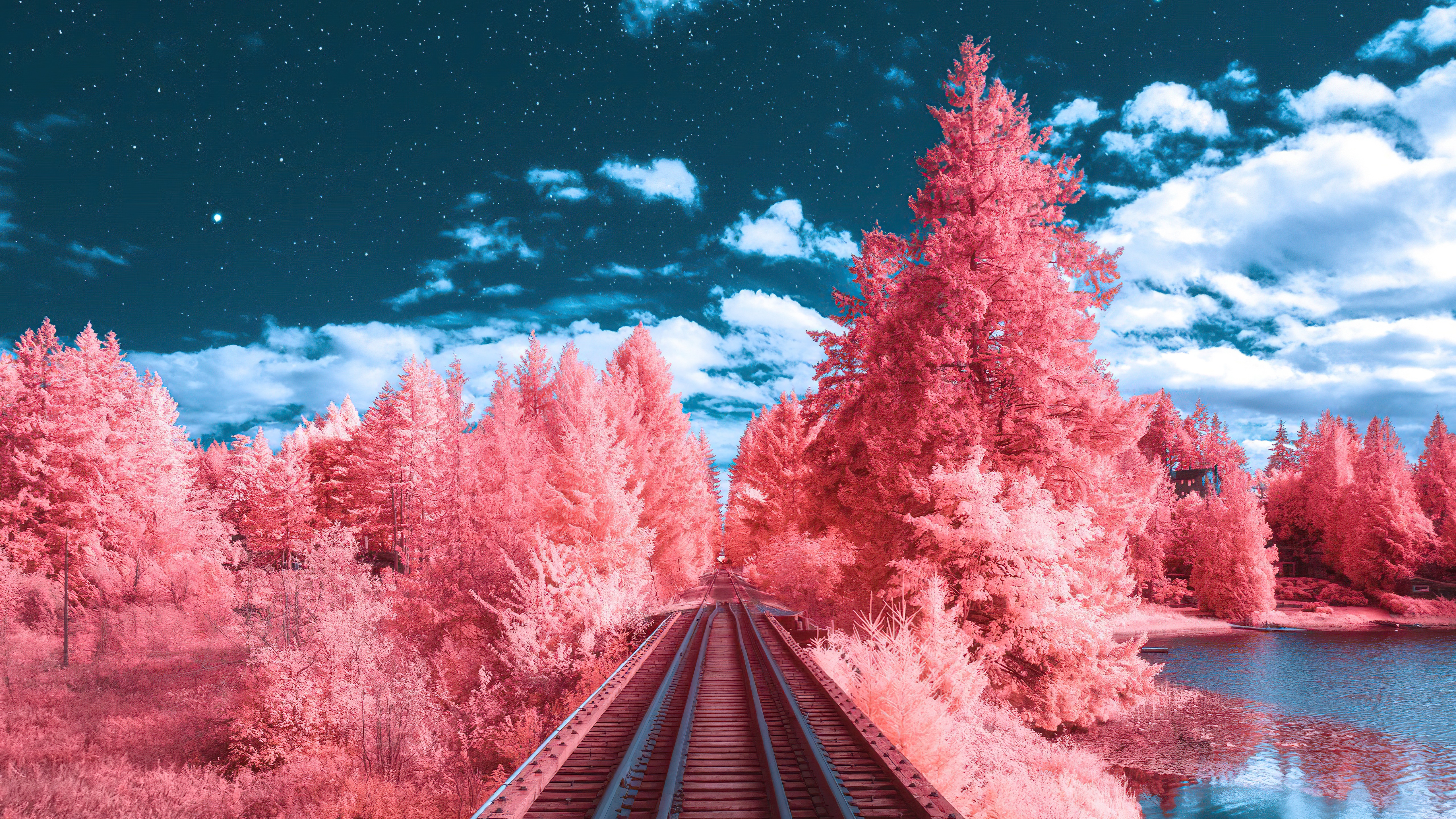 Train tracks through pink forest under starry sky HD Wallpaper