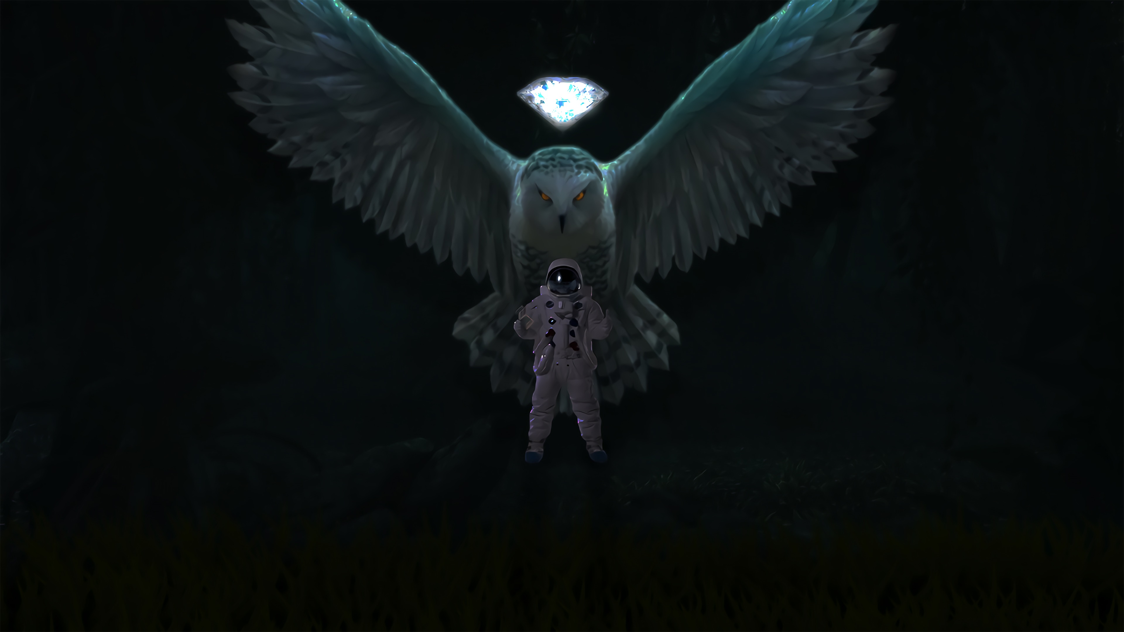Astronaut and Owl with Diamond HD Wallpaper