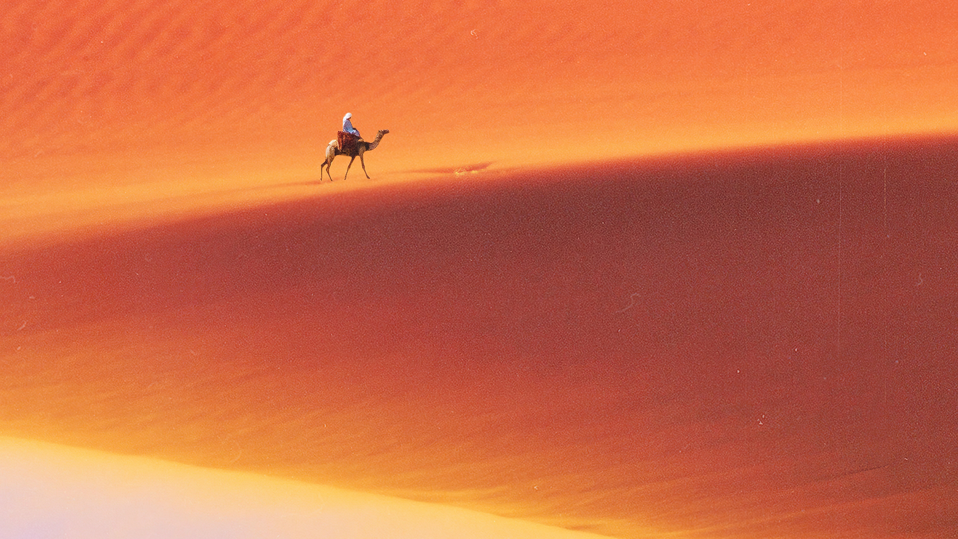 Camel rider in the desert 4K HD Wallpaper