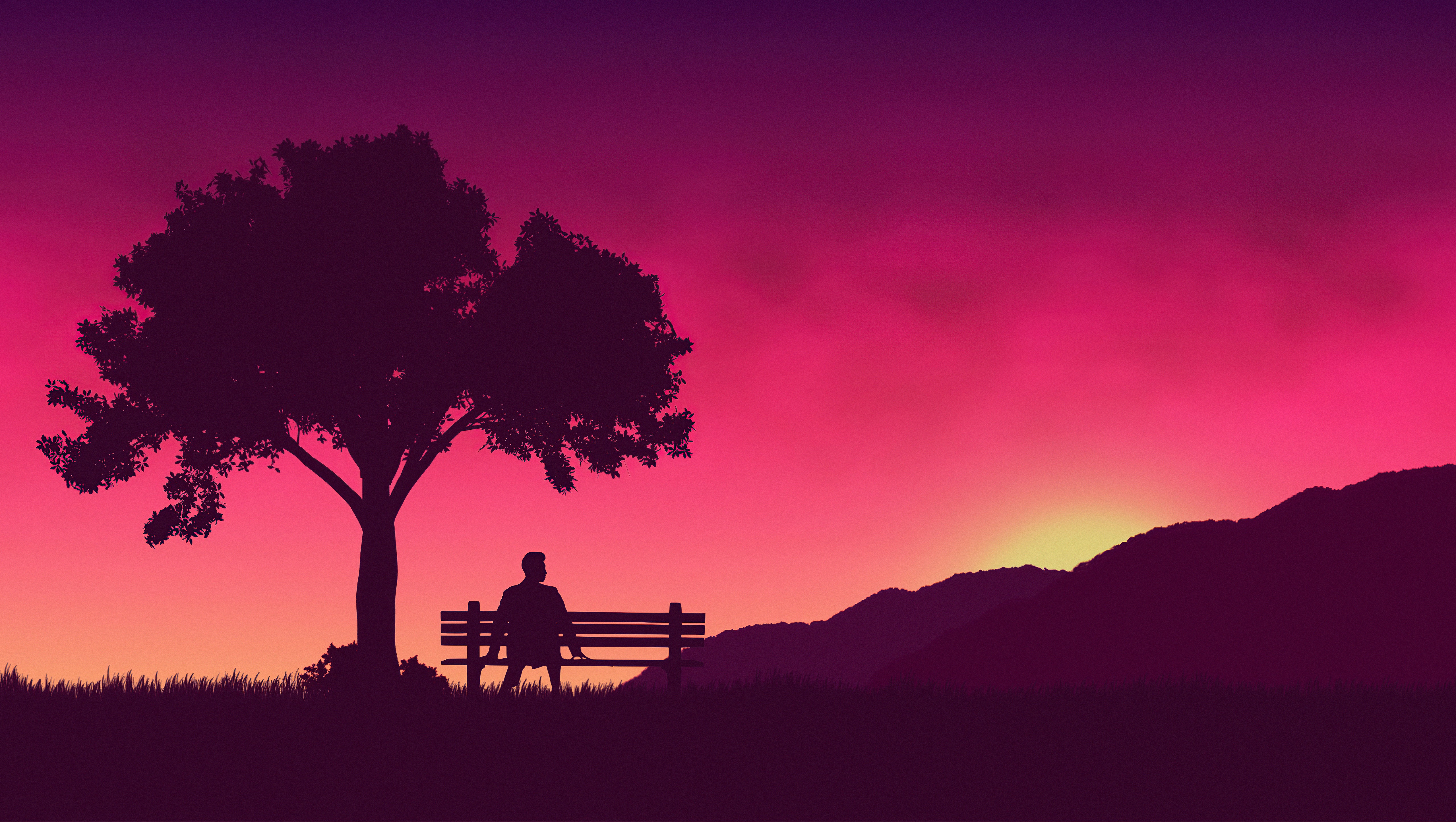 Man sitting on bench under tree at sunset HD Wallpaper